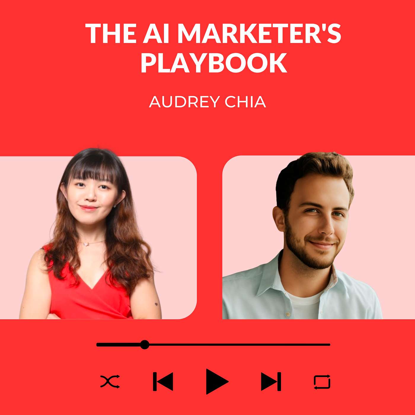The AI Marketer\'s Playbook