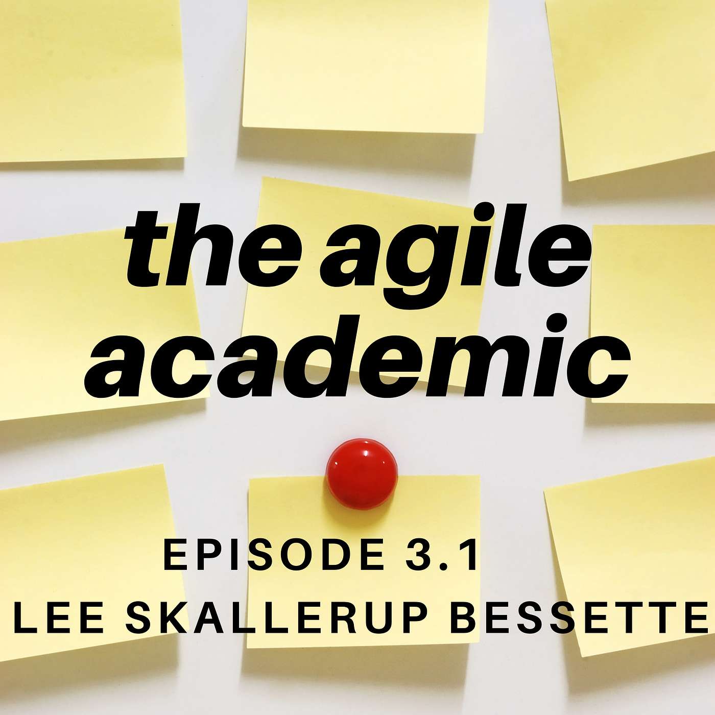 the agile academic