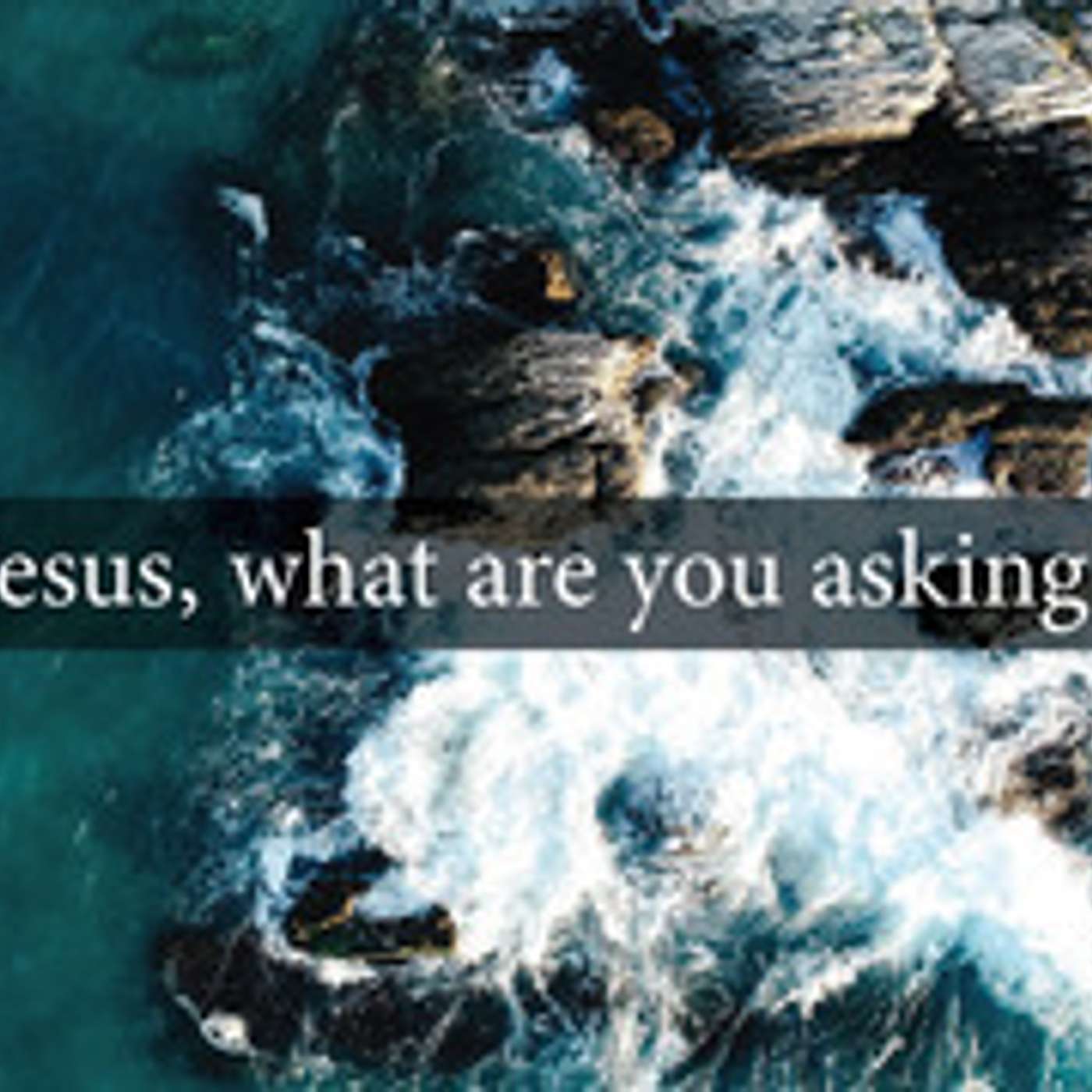 Jesus, what are you asking? episode artwork