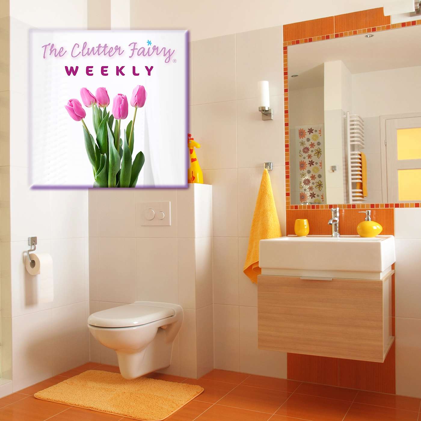 Clean Break: How to Declutter and Organize the Bathroom - The Clutter Fairy Weekly #290