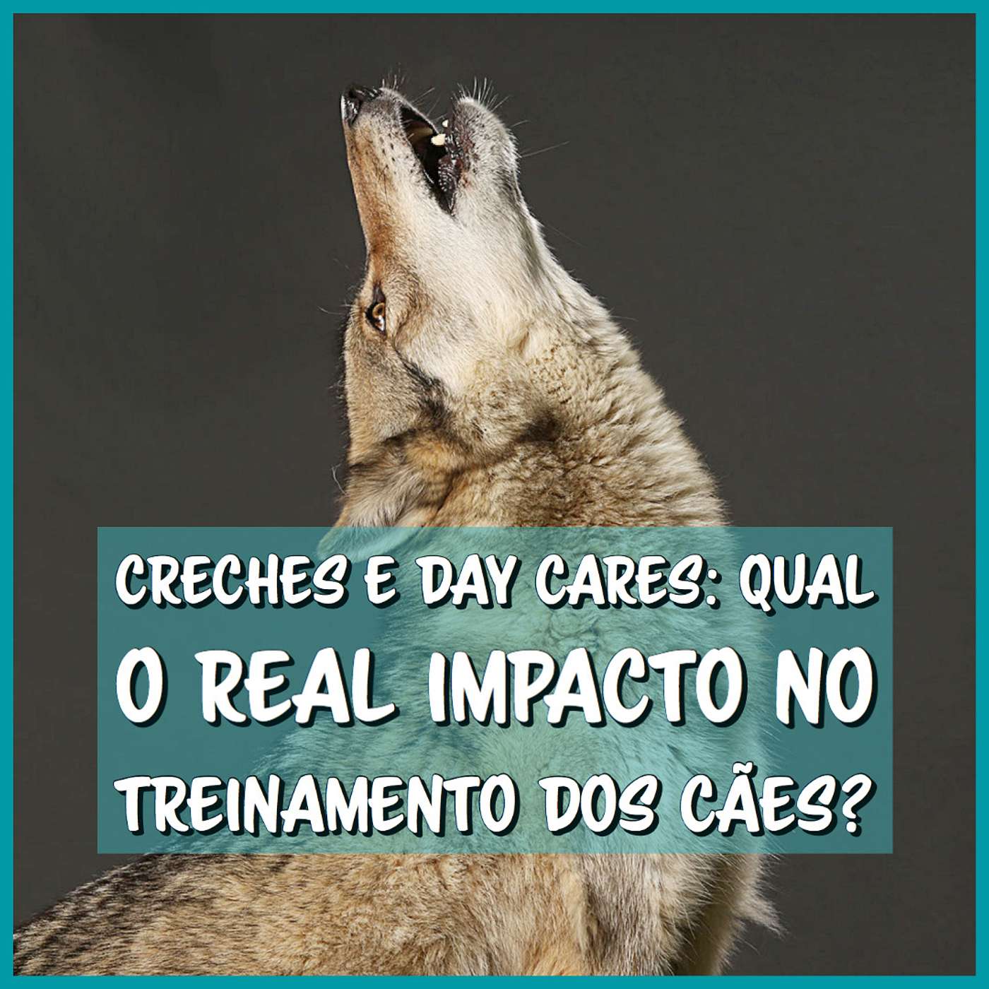 Creches e Day Cares: qual o real impacto no treinamento dos cães? episode artwork