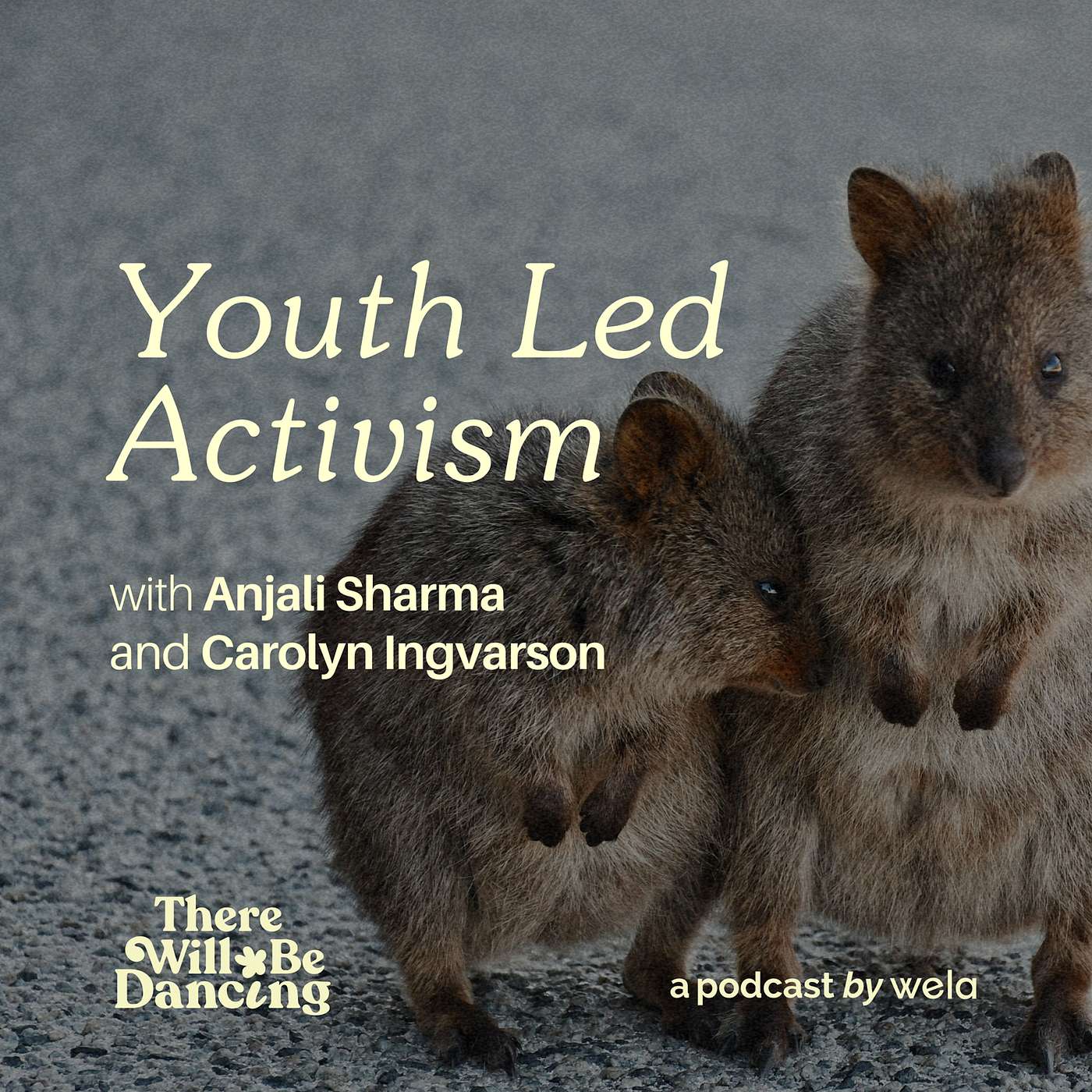 Youth Led Activism with Anjali Sharma