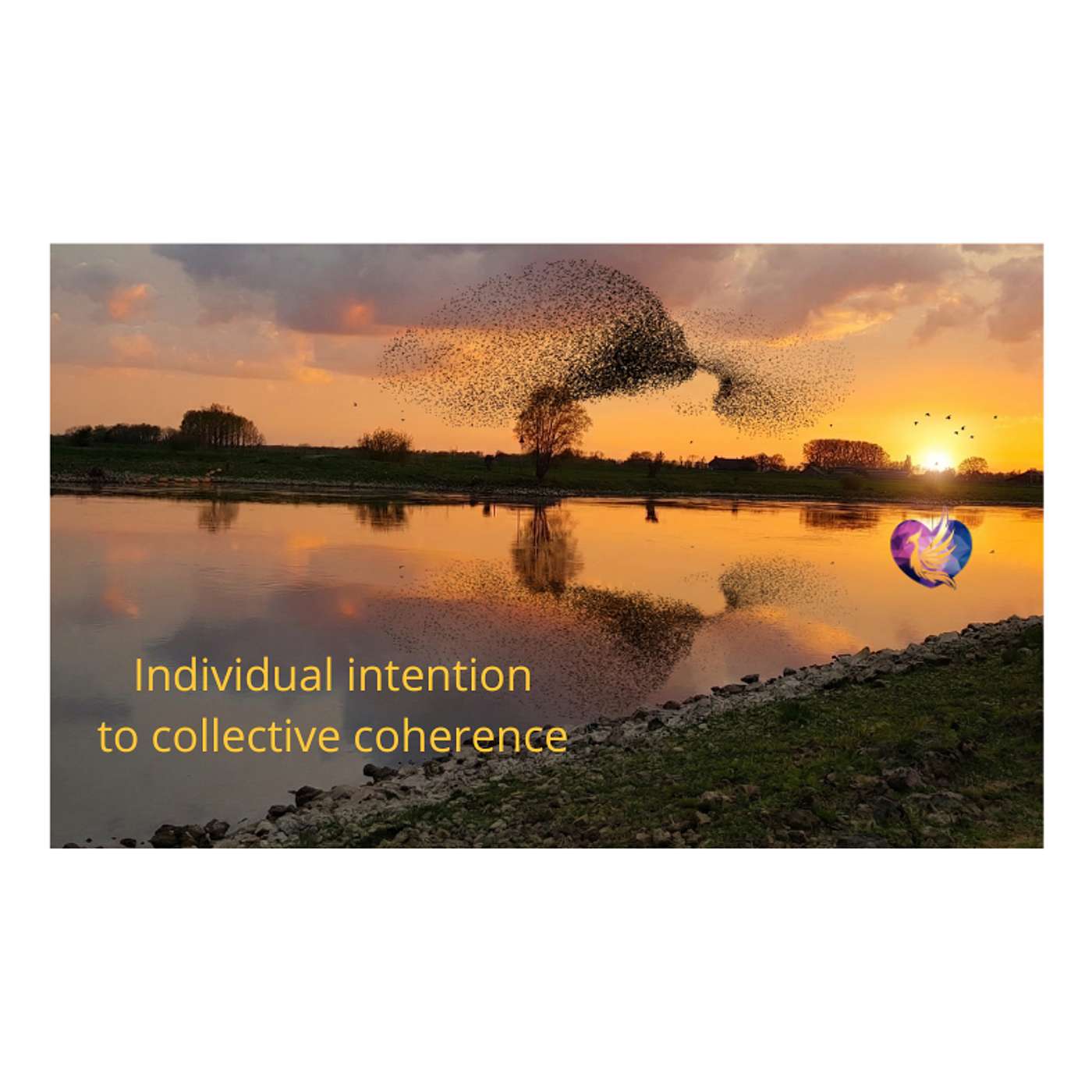 Episode 7 Individual intention to Collective coherence episode artwork