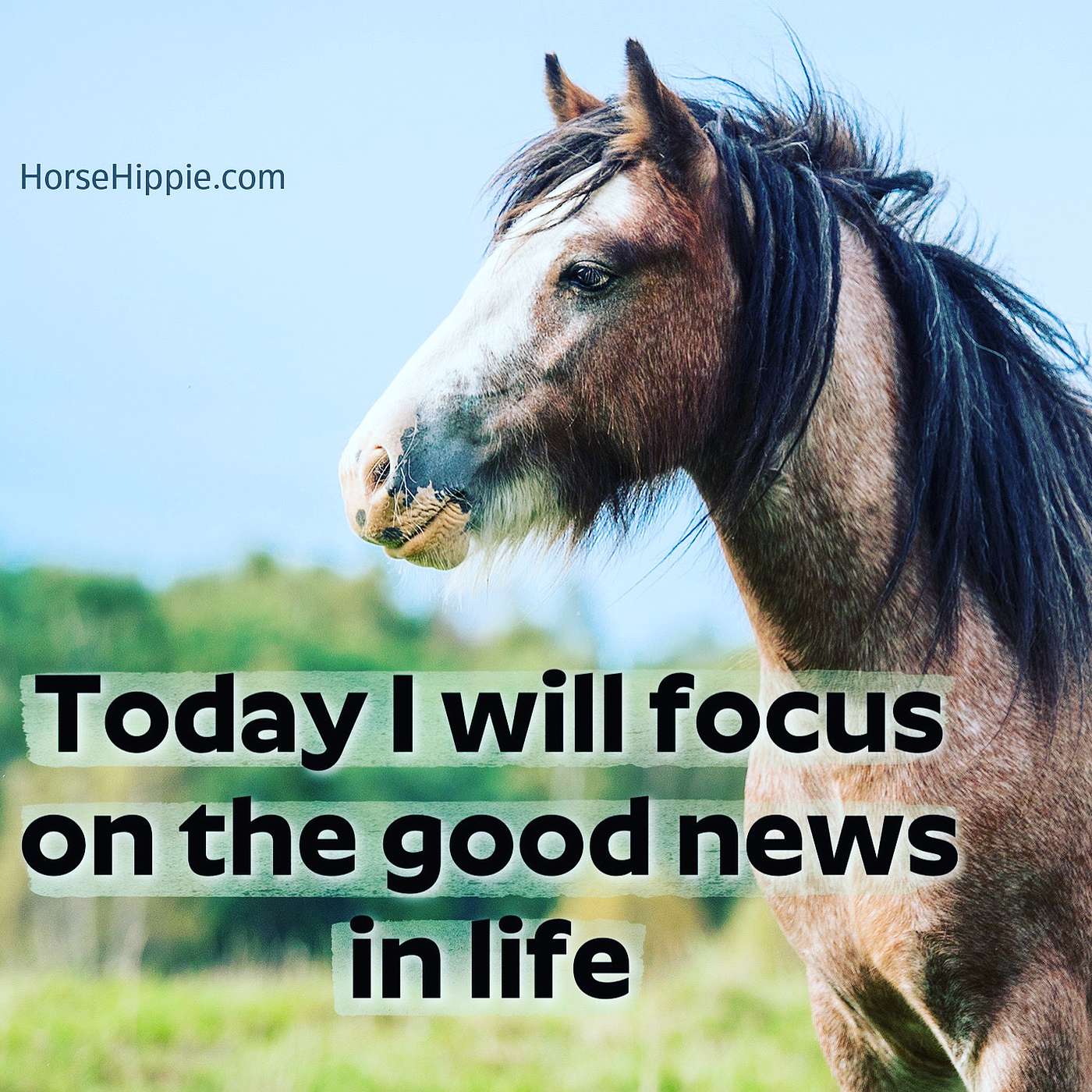 Focus On The Good News