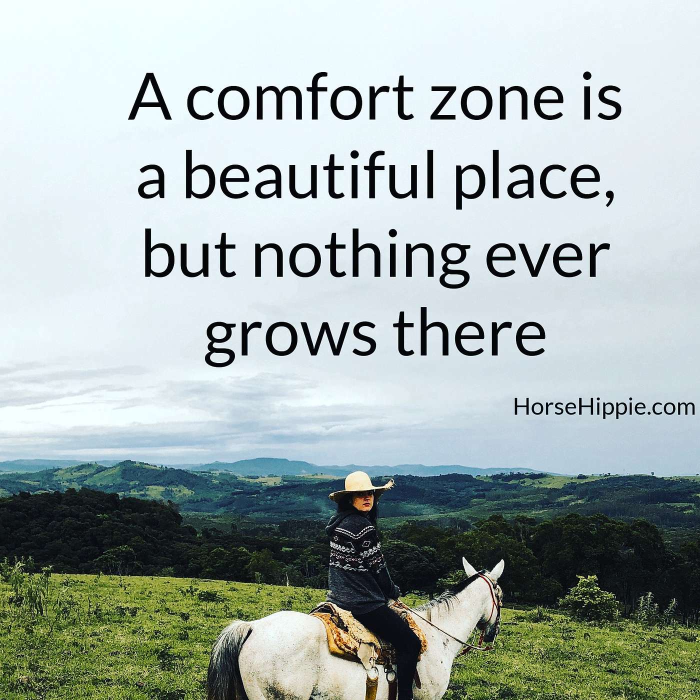 Comfort Zones episode artwork