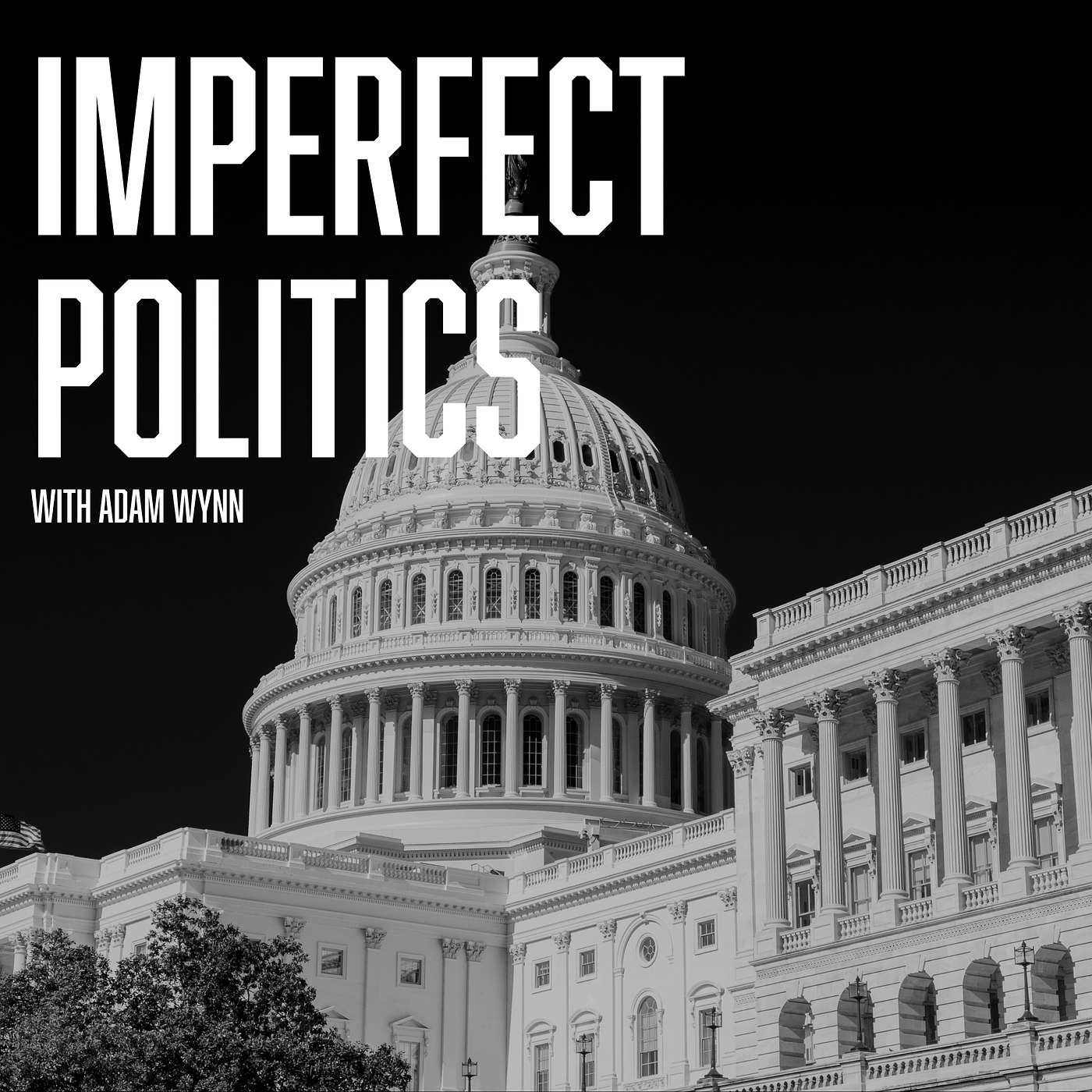 Imperfect Politics