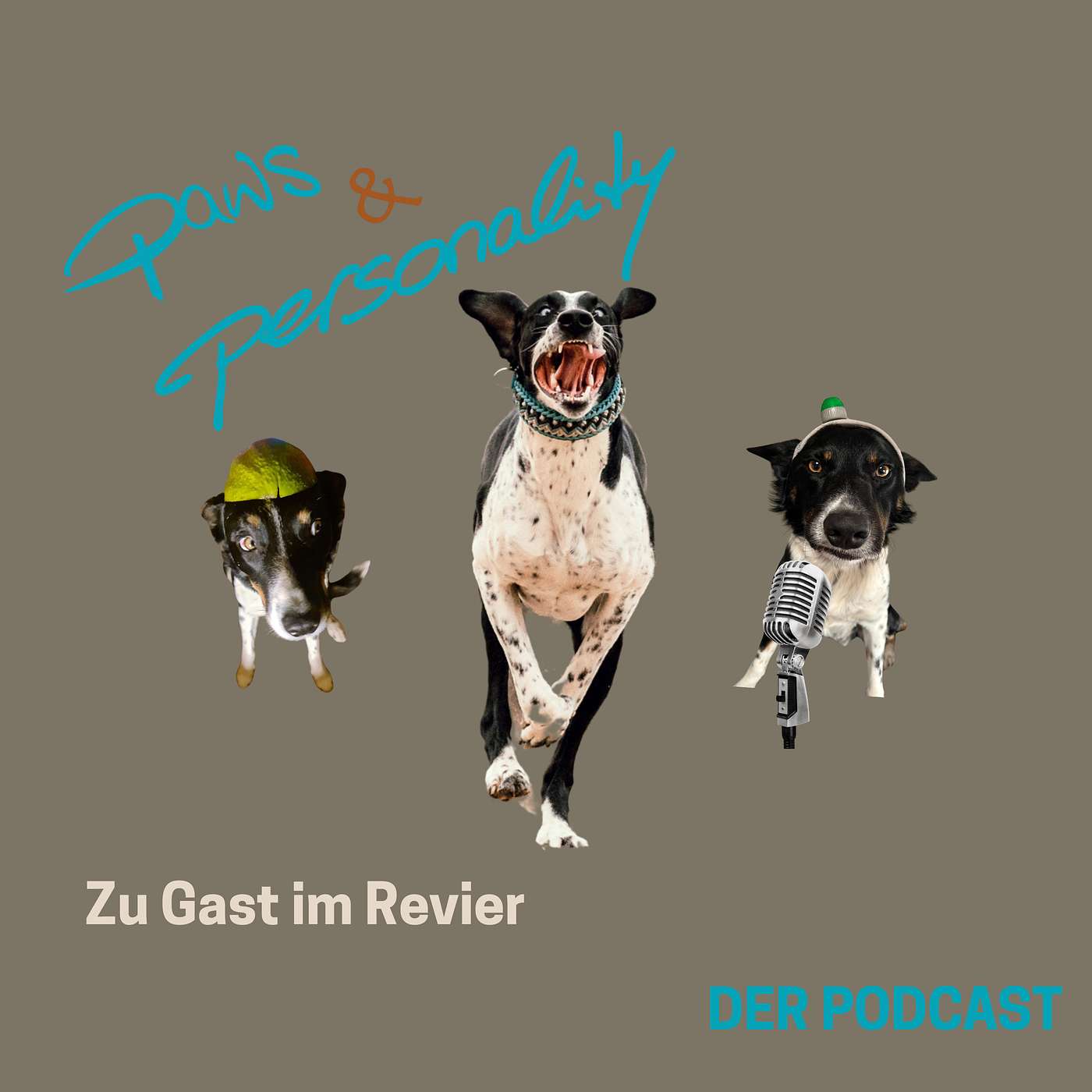 Zu Gast im Revier - Ann-Kathrin Raile von Autofahren Mit Hund episode artwork
