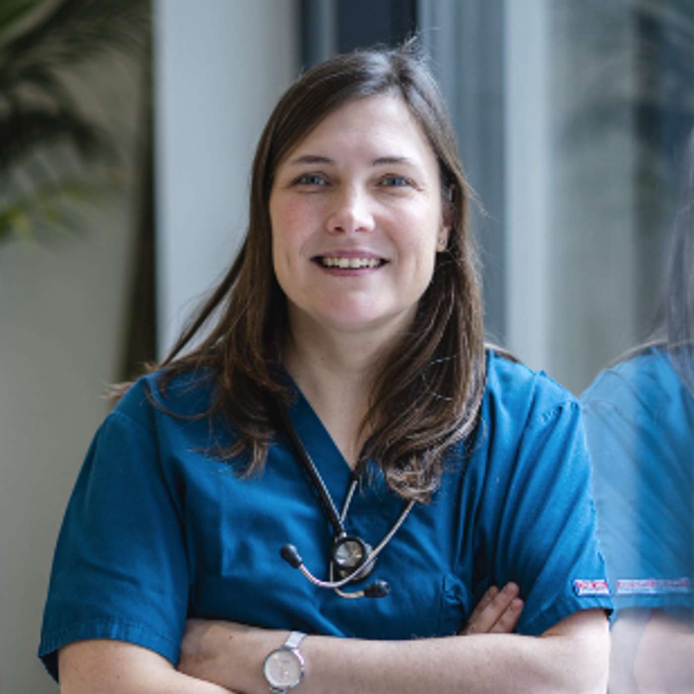 Podcast de Ideant Veterinaria