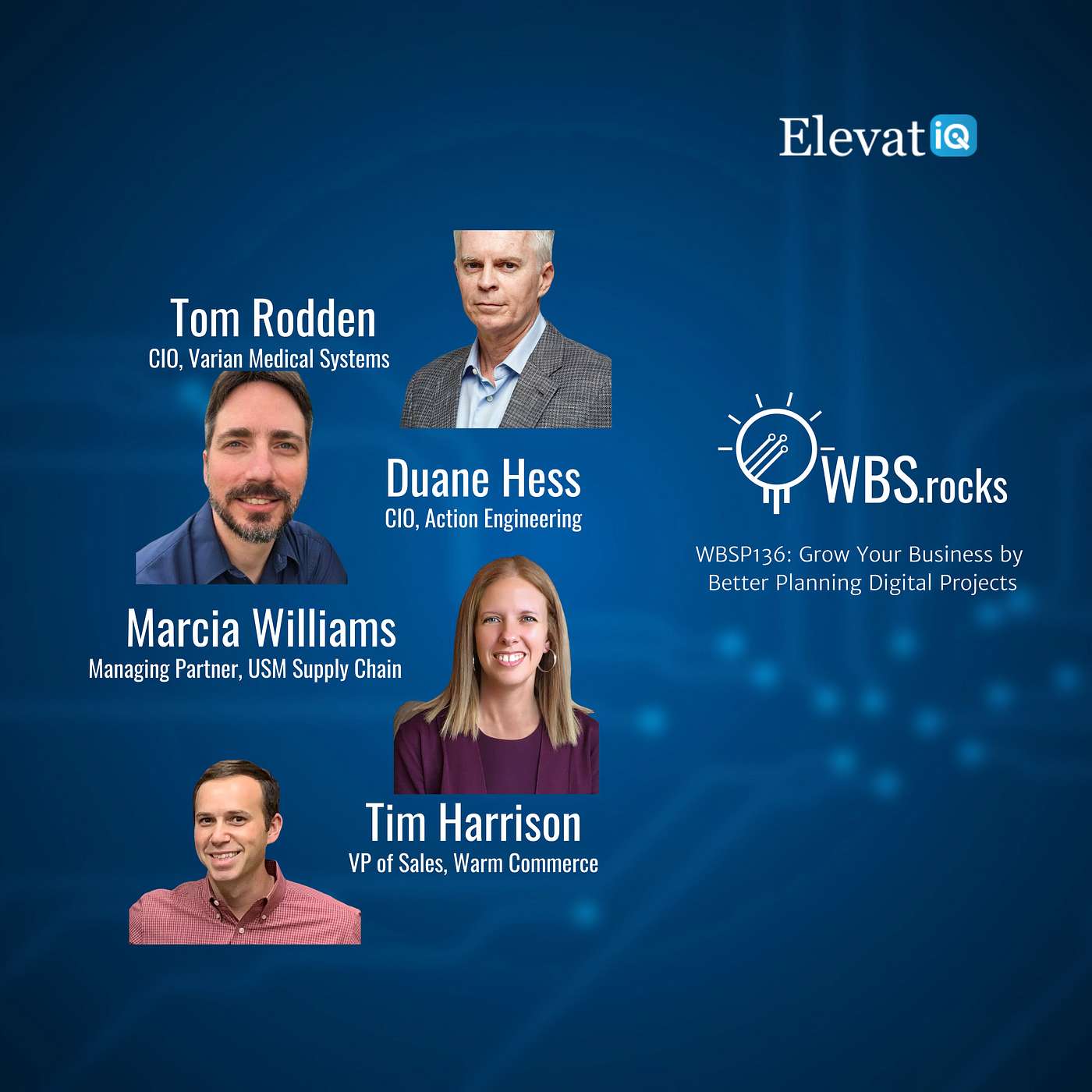 WBSP136: Grow Your Business by Better Planning Digital Projects, a Live Interview w/ a Panel of Experts