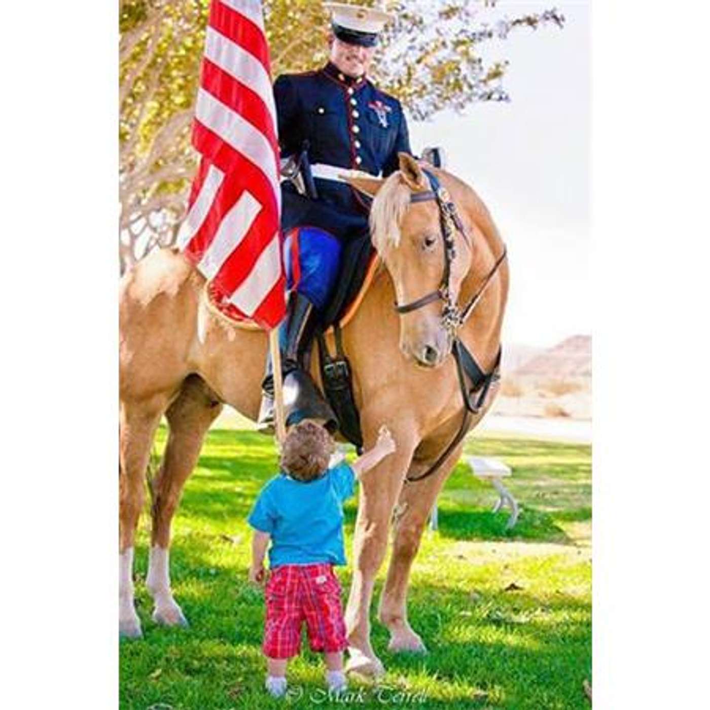 SADDLE UP AMERICA! A Missouri Jewel & Robert 