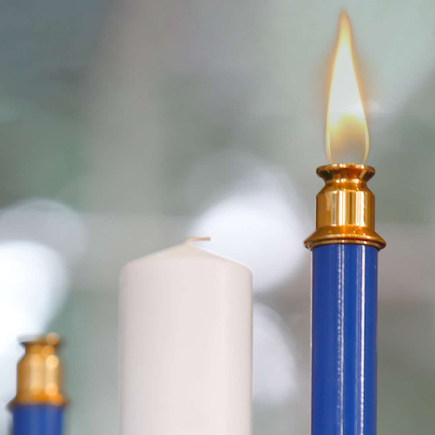 Westminster Talking the Text