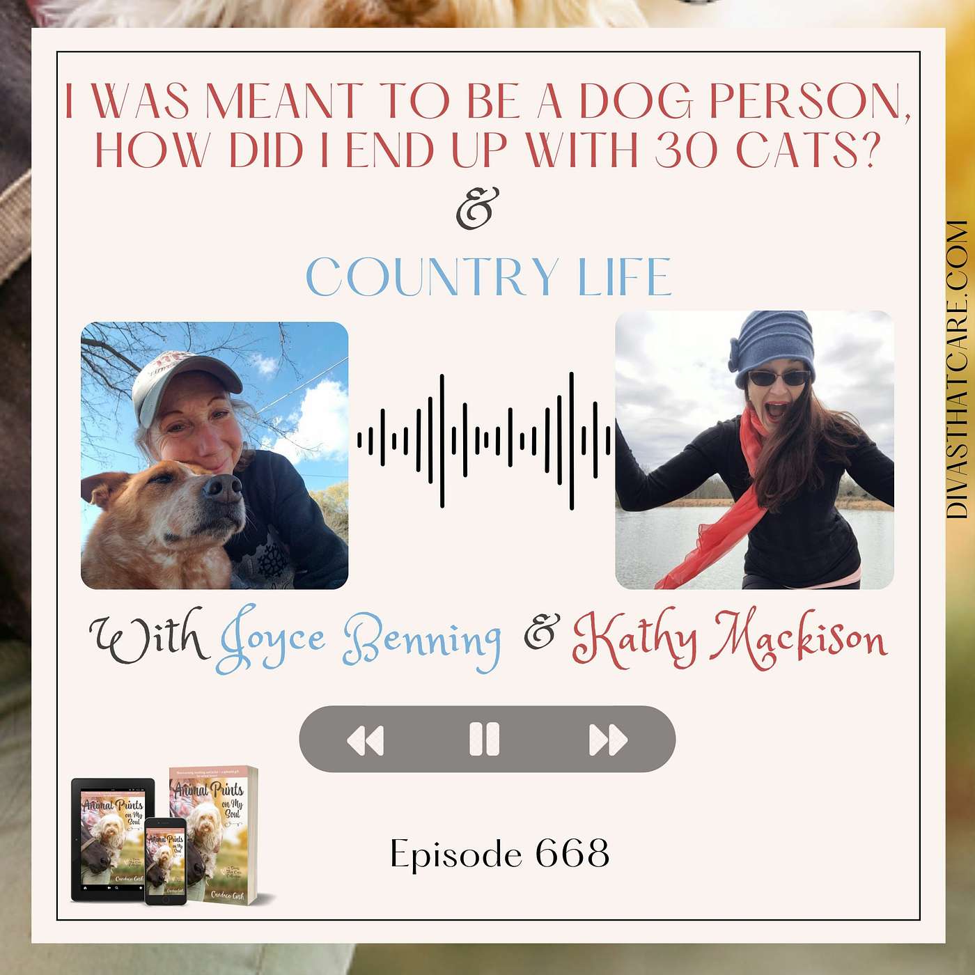 Special Episode: Country Life & I was meant to be a dog person, how did I end up with 30 cats? episode artwork