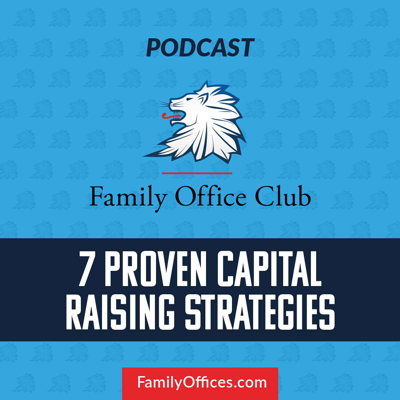 7 Proven Capital Raising Strategies