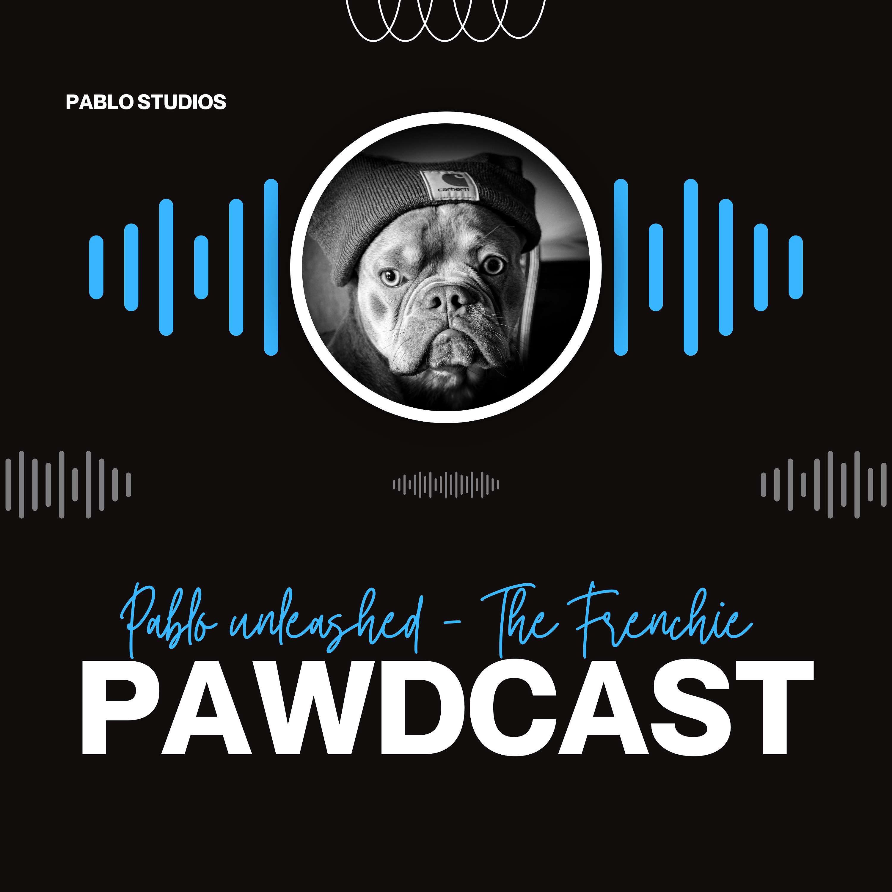 Pablo Unleashed: Tales of a French Bulldog Superstar