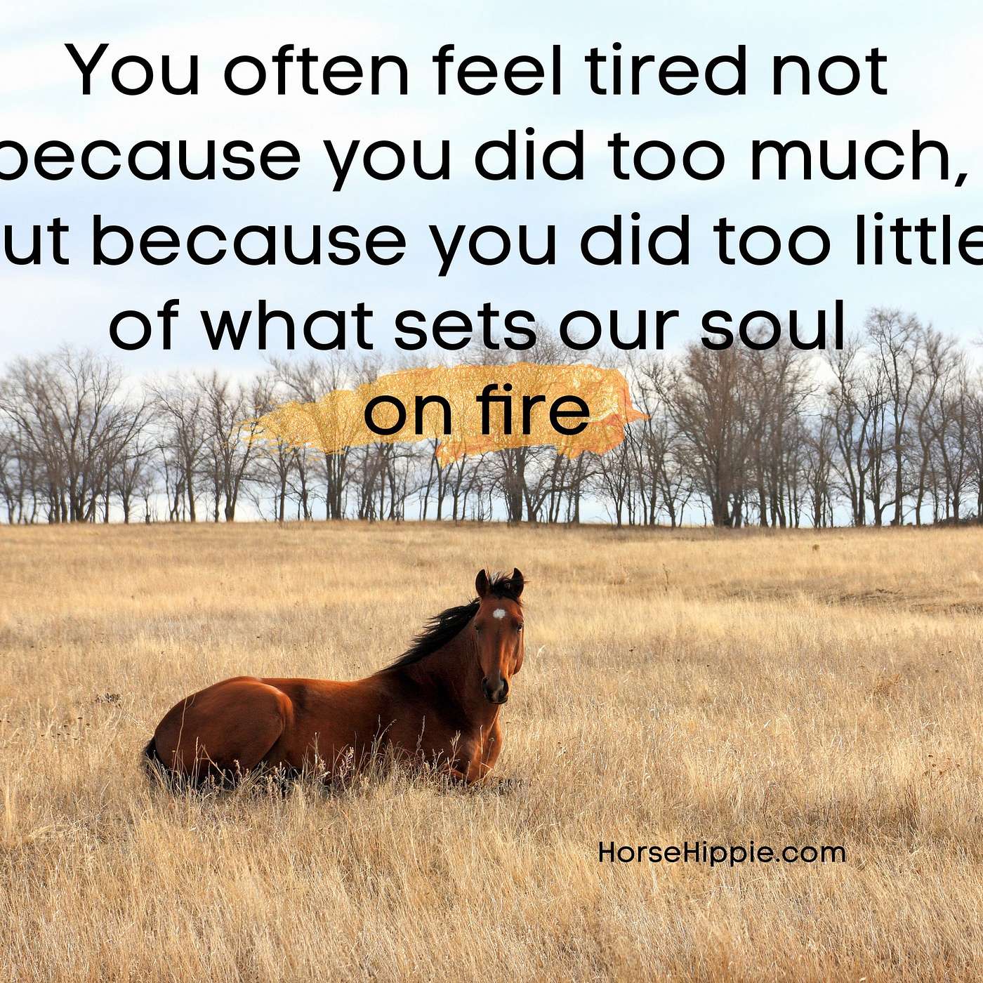 Why am I so Tired?