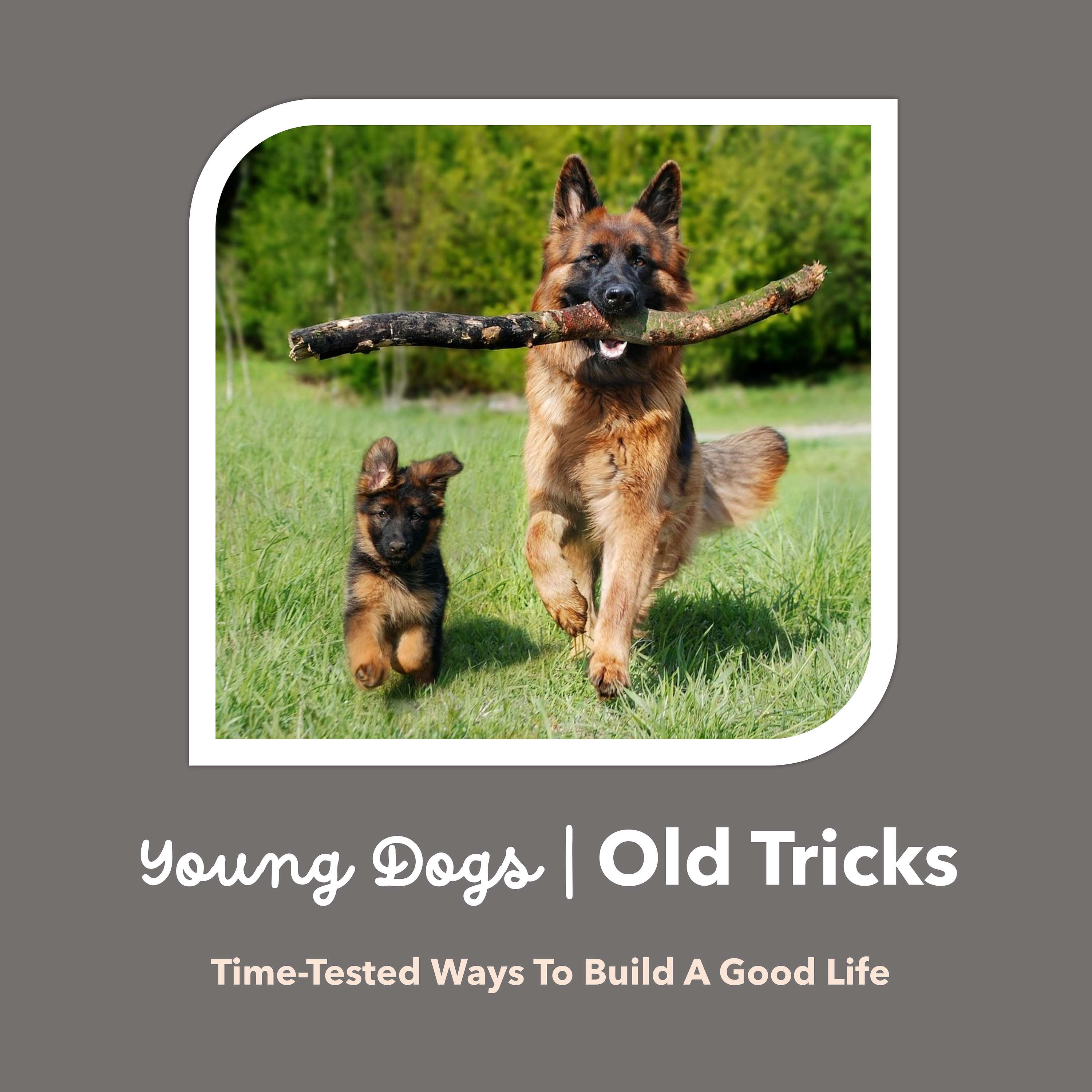 Young Dogs, Old Tricks