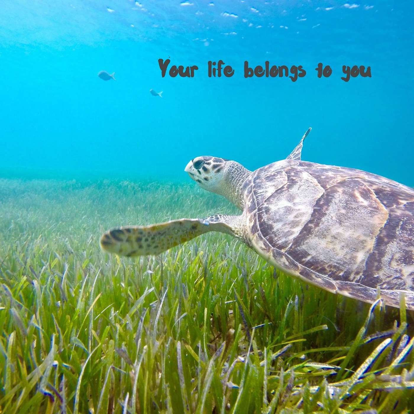 #109 Your Life belongs to you episode artwork
