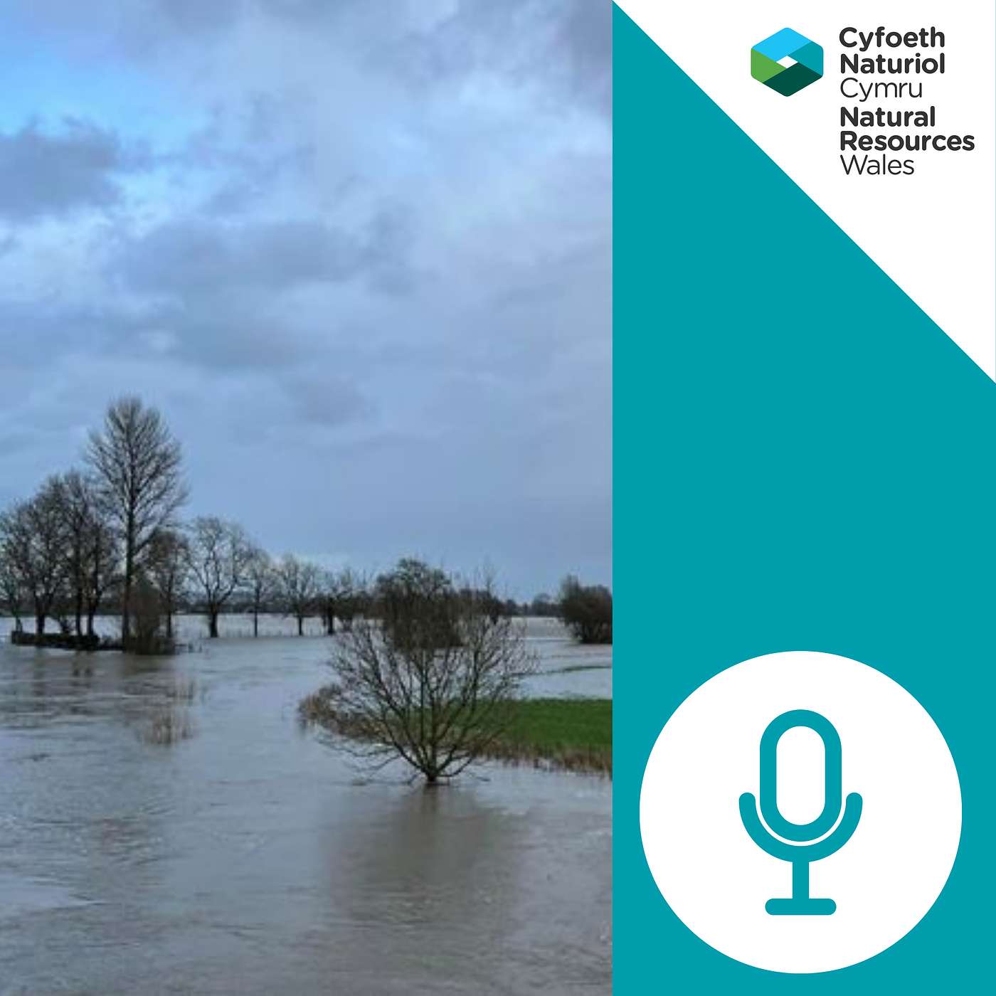 5. Understanding and Analysing Flood Risk