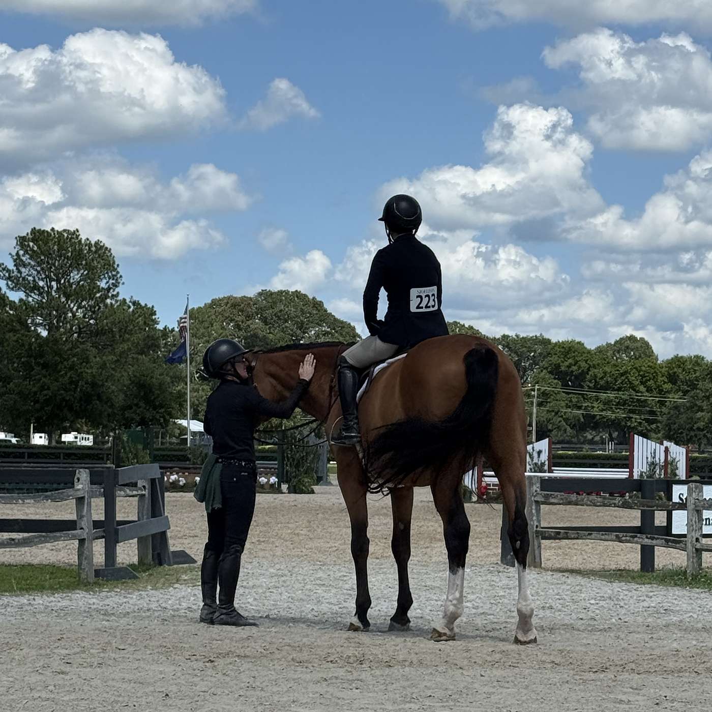 Episode 52: Equestrian Equality--Do Male and Female Riders Compete on Level Ground?