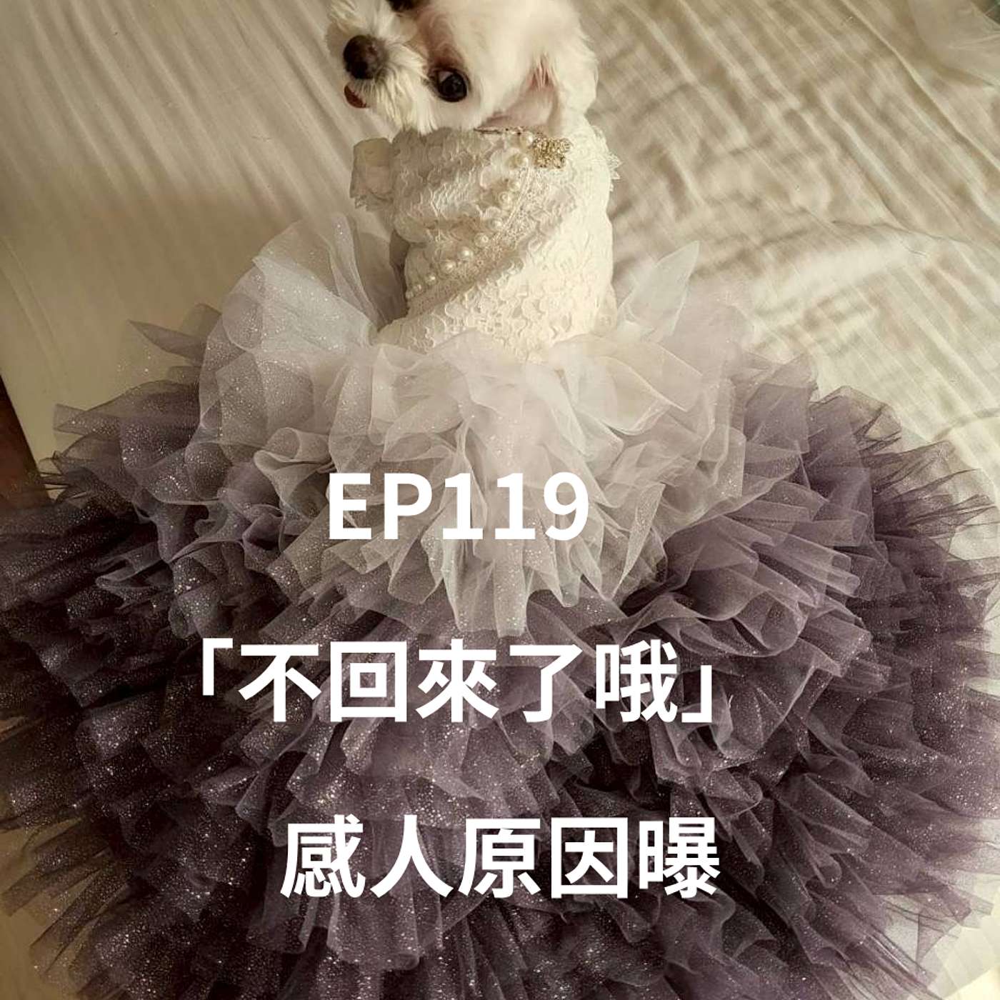 EP119離世馬爾濟斯不想再回來 感人原因曝！兩個受傷靈魂互相療癒 episode artwork