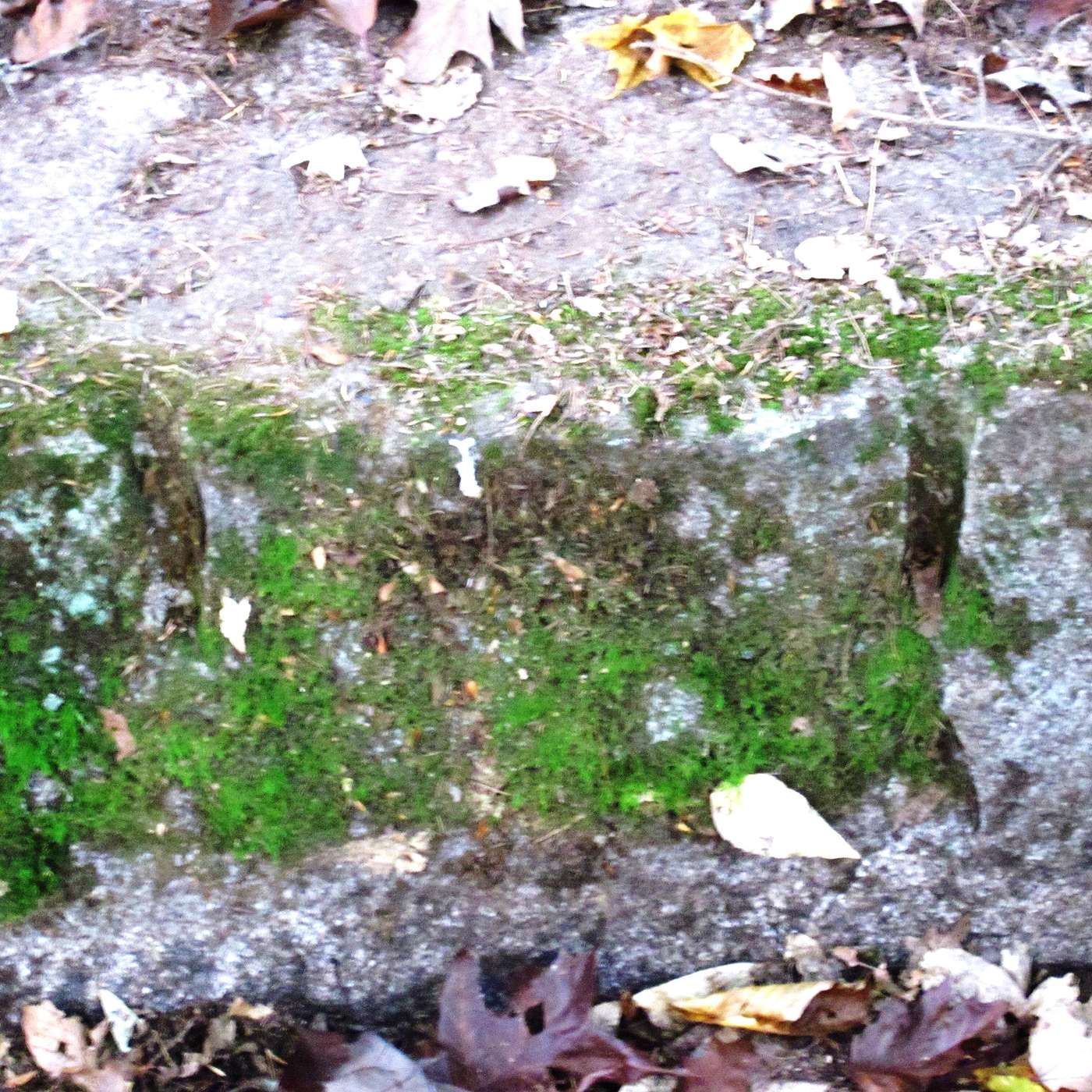 DRILL MARKS