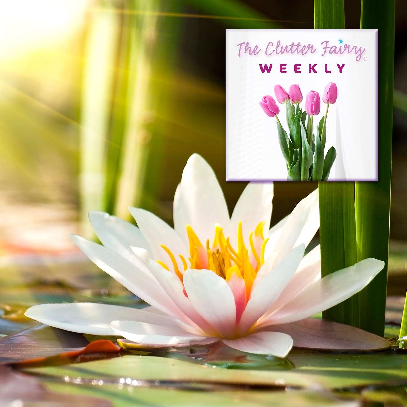 While You Declutter, Don’t Forget to Leave Space for Yourself - The Clutter Fairy Weekly #306 episode artwork