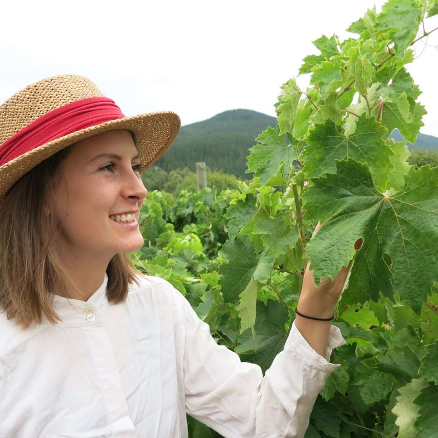 Audio QA Webinar Abby Rose, role of agtech in regen ag