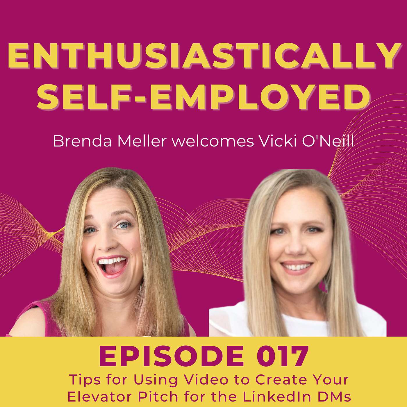 017 Tips for Using Video to Create Your Elevator Pitch for LinkedIn DMs with Vicki O'Neill