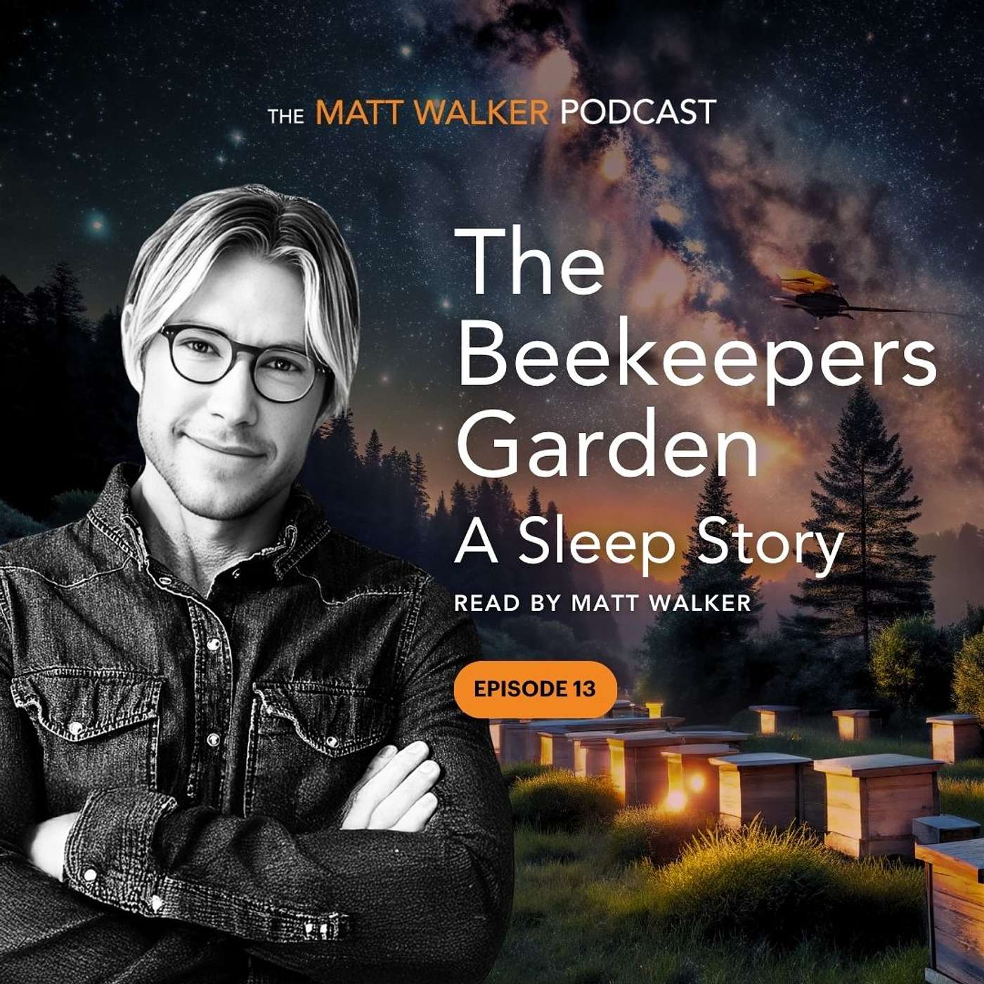 Episode cover