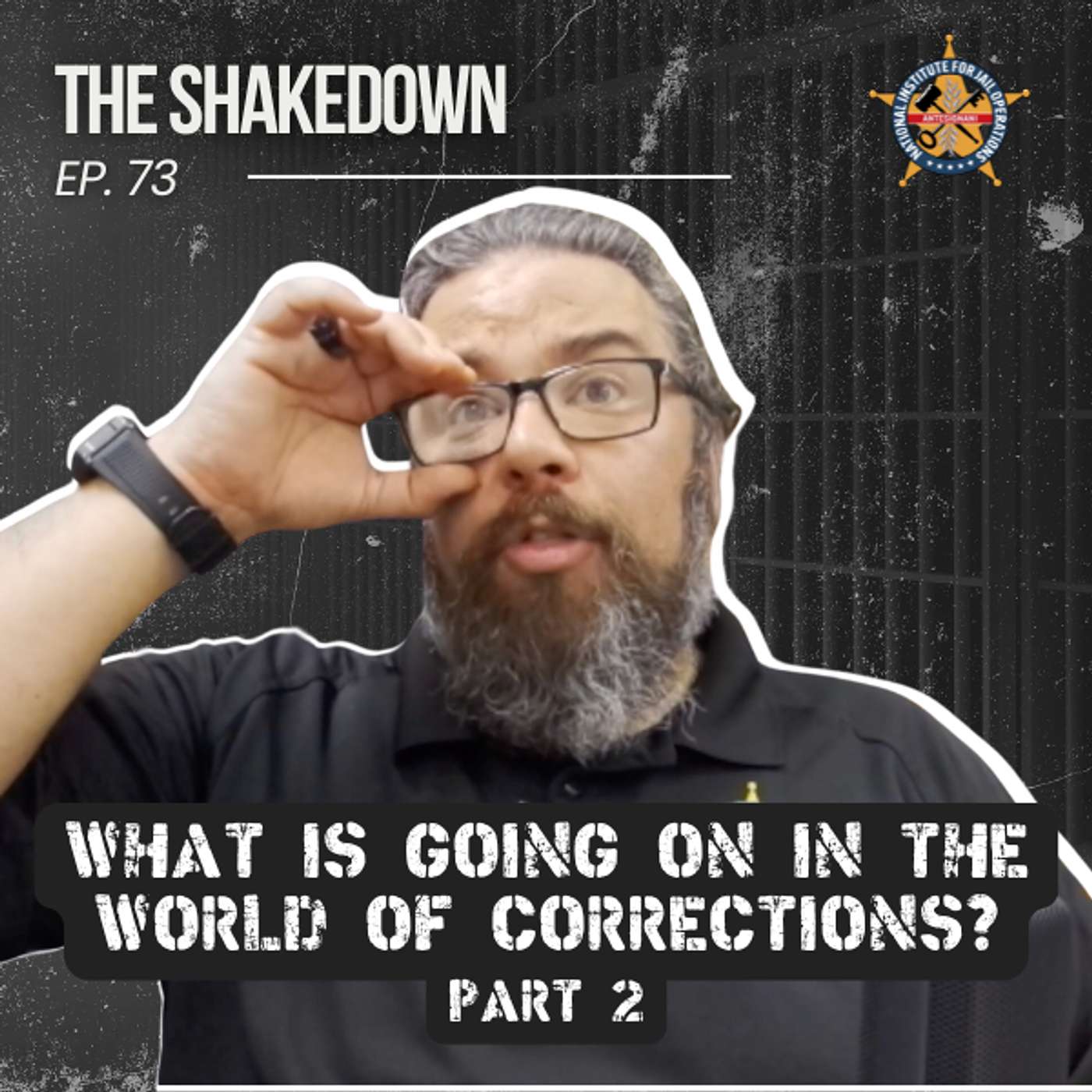 The Shakedown by National Institute for Jail Operations (NIJO)