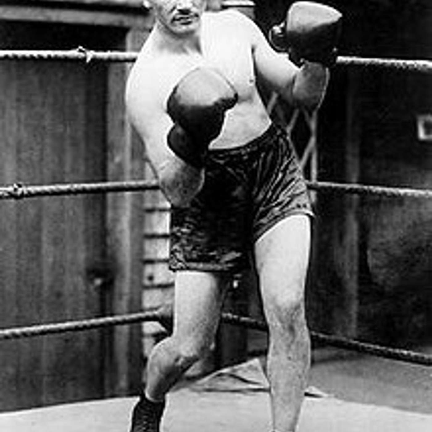 The MindField presents: MF23