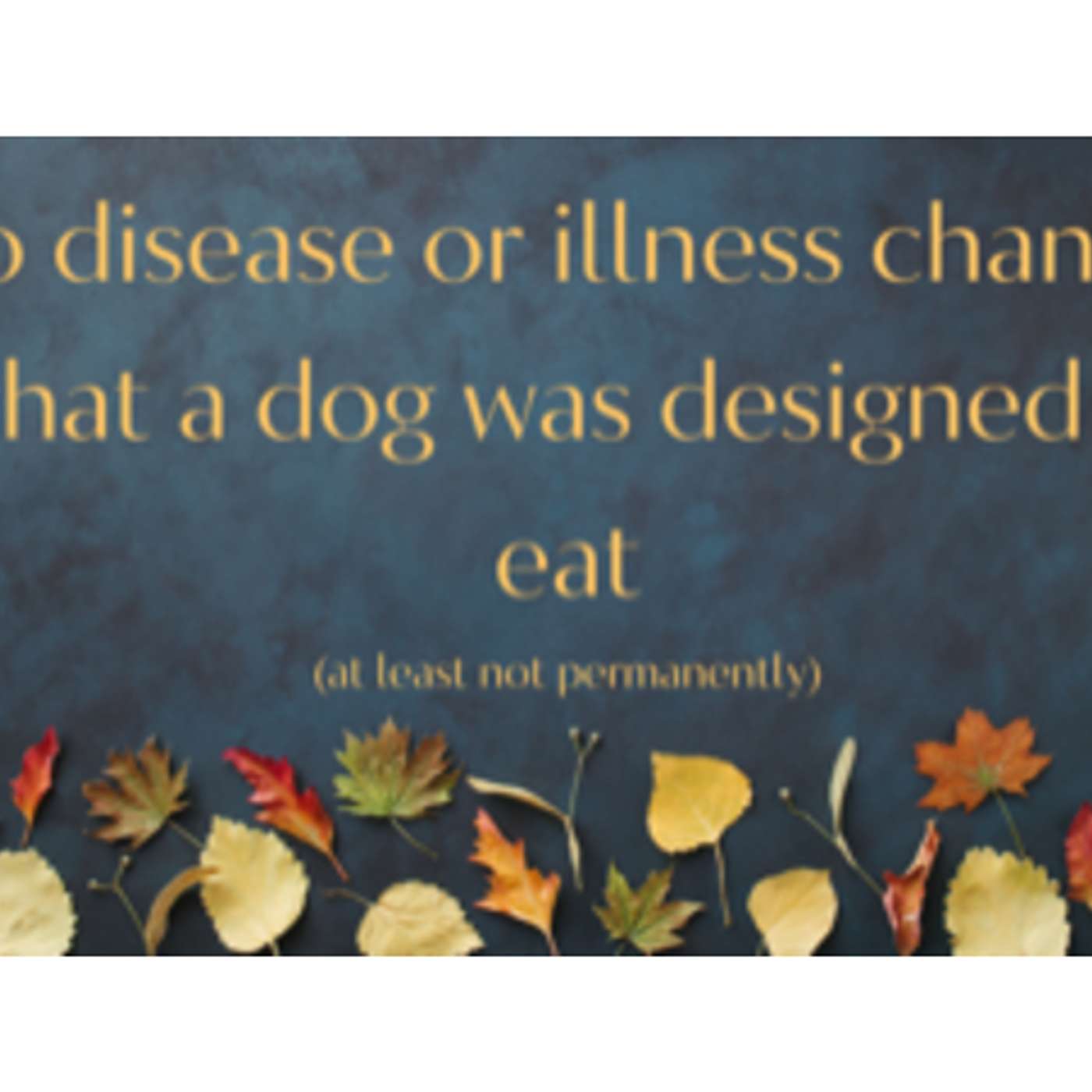 Those who argue a dog is an omnivore are trying to sell you something PERIOD episode artwork