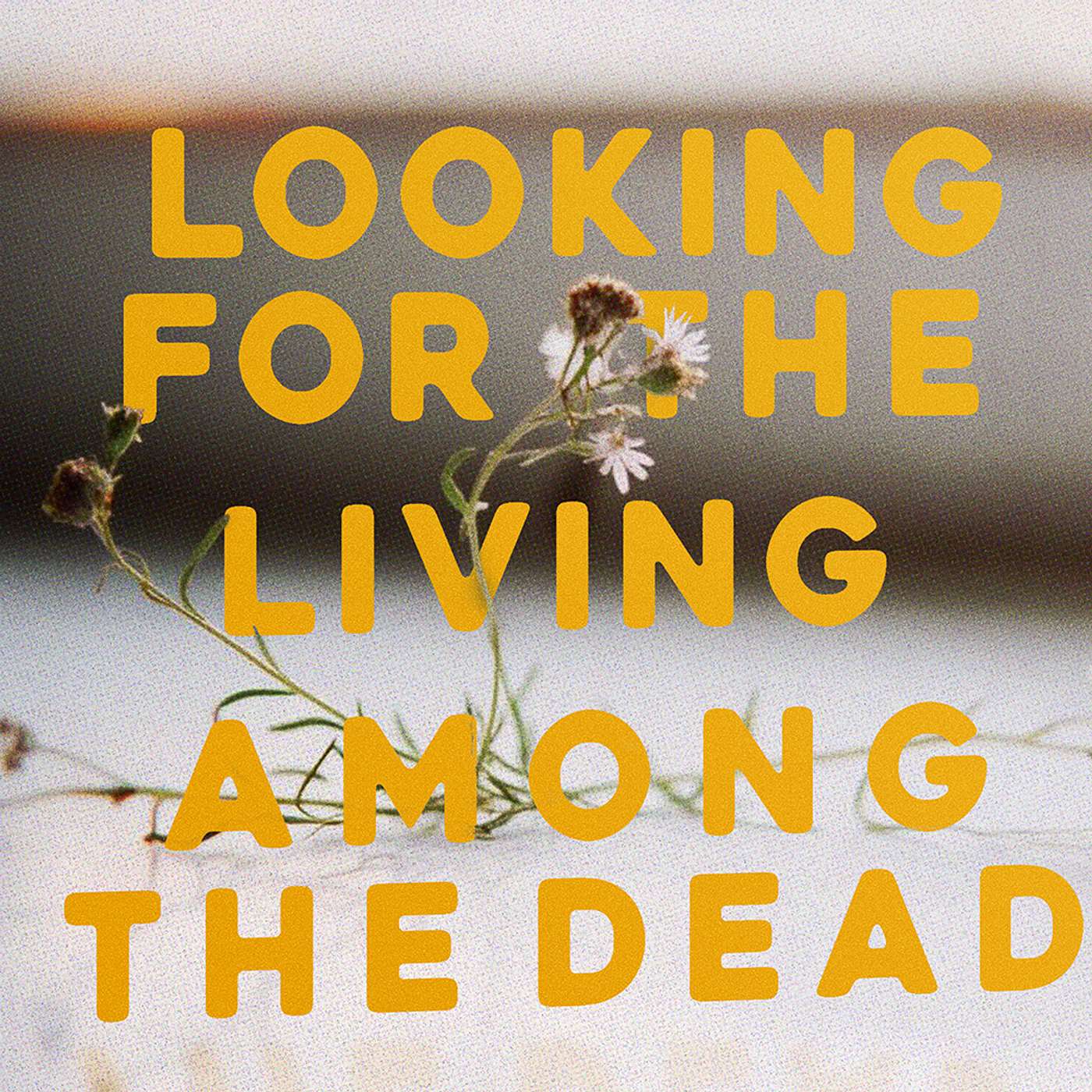Looking for the Living Among the Dead episode artwork