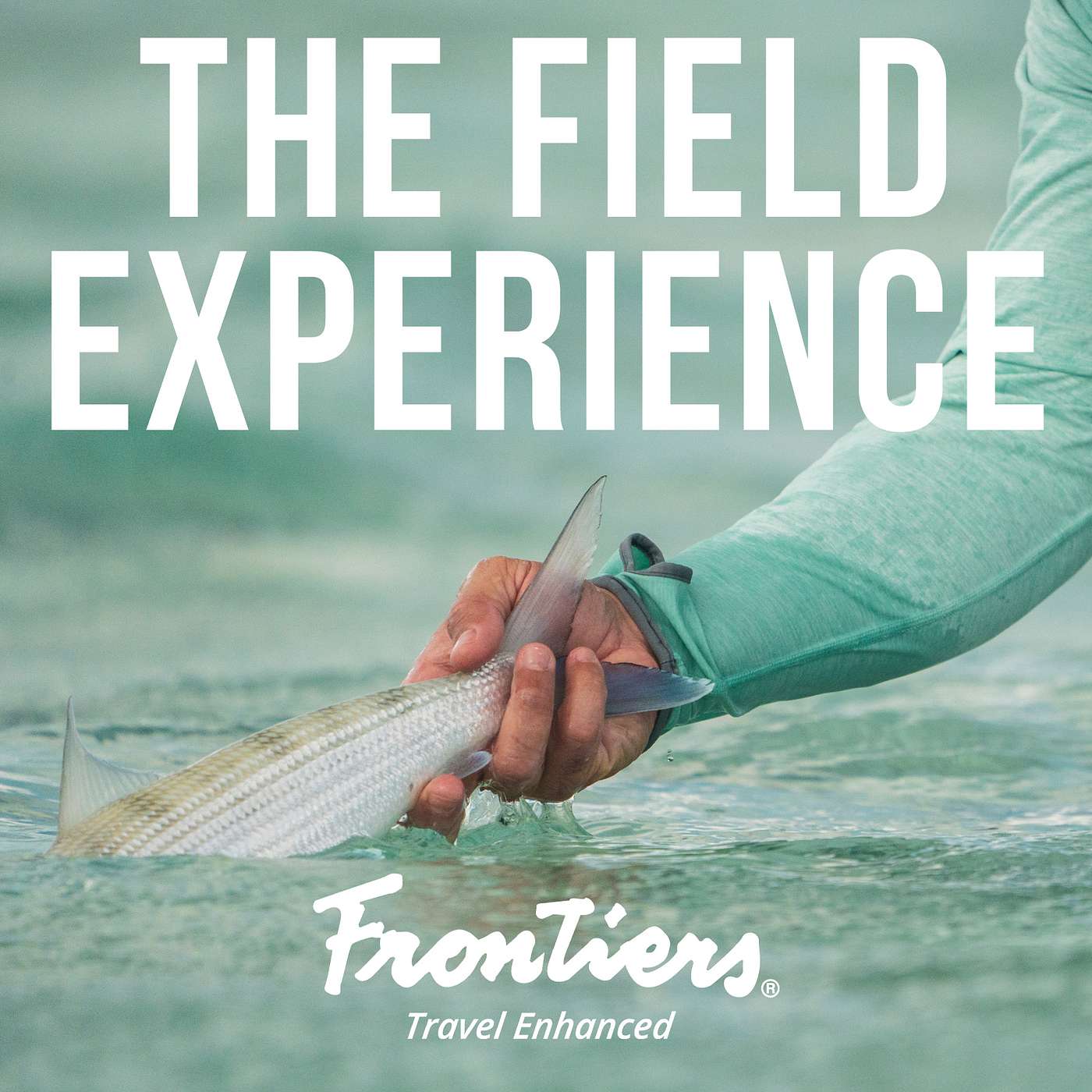 Just Go Bonefishing - Steve Farrelly on Frontiers Travel's The Field Experience