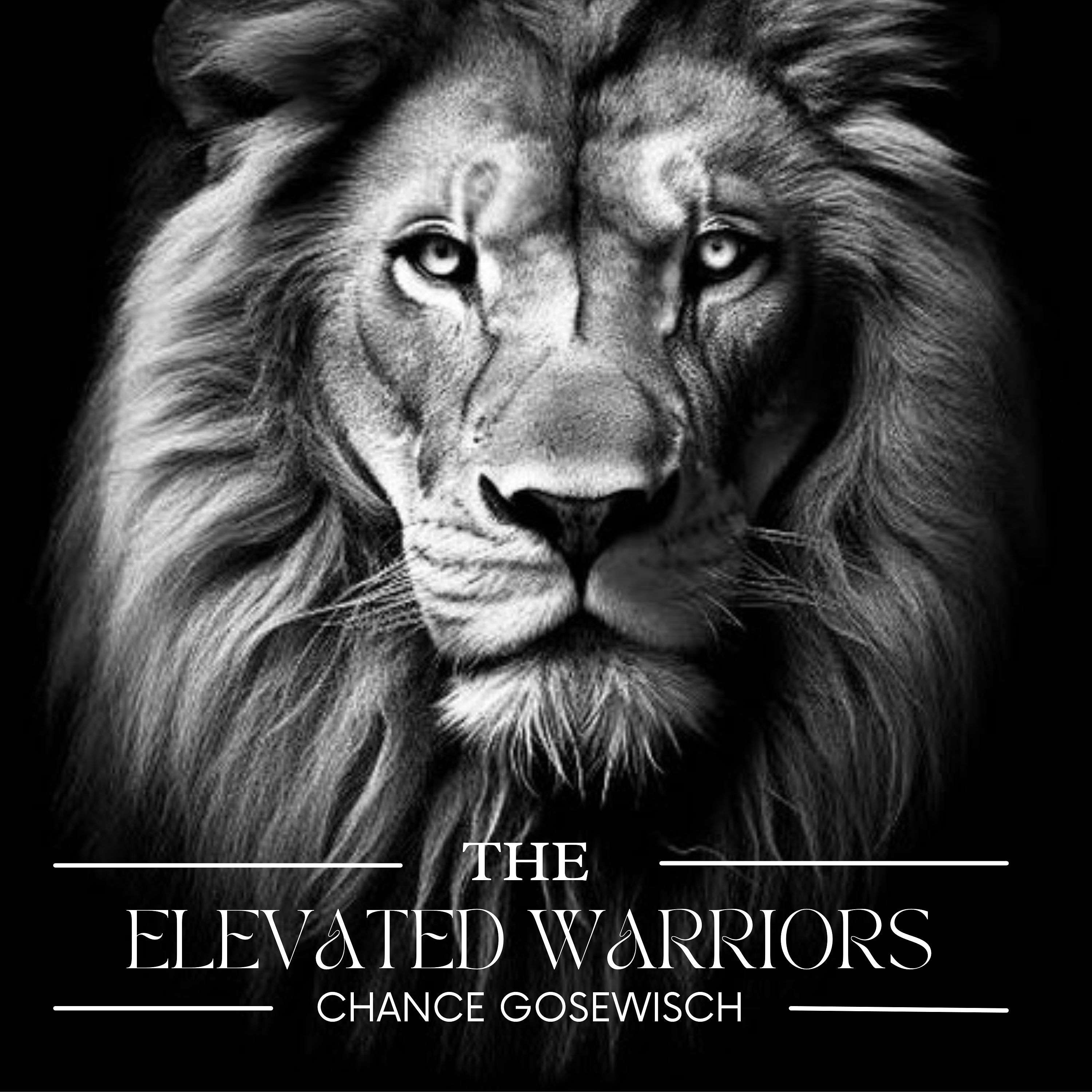 Elevated Warriors