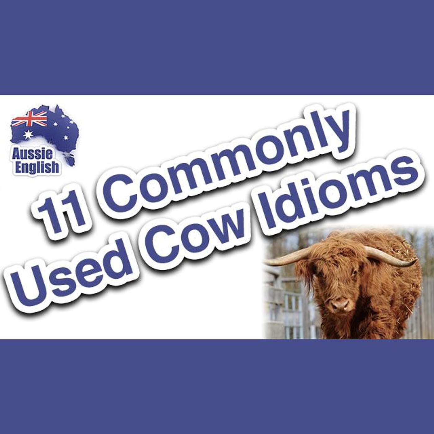 AE 293 - Live Class: 11 Commonly Used Cow Idioms