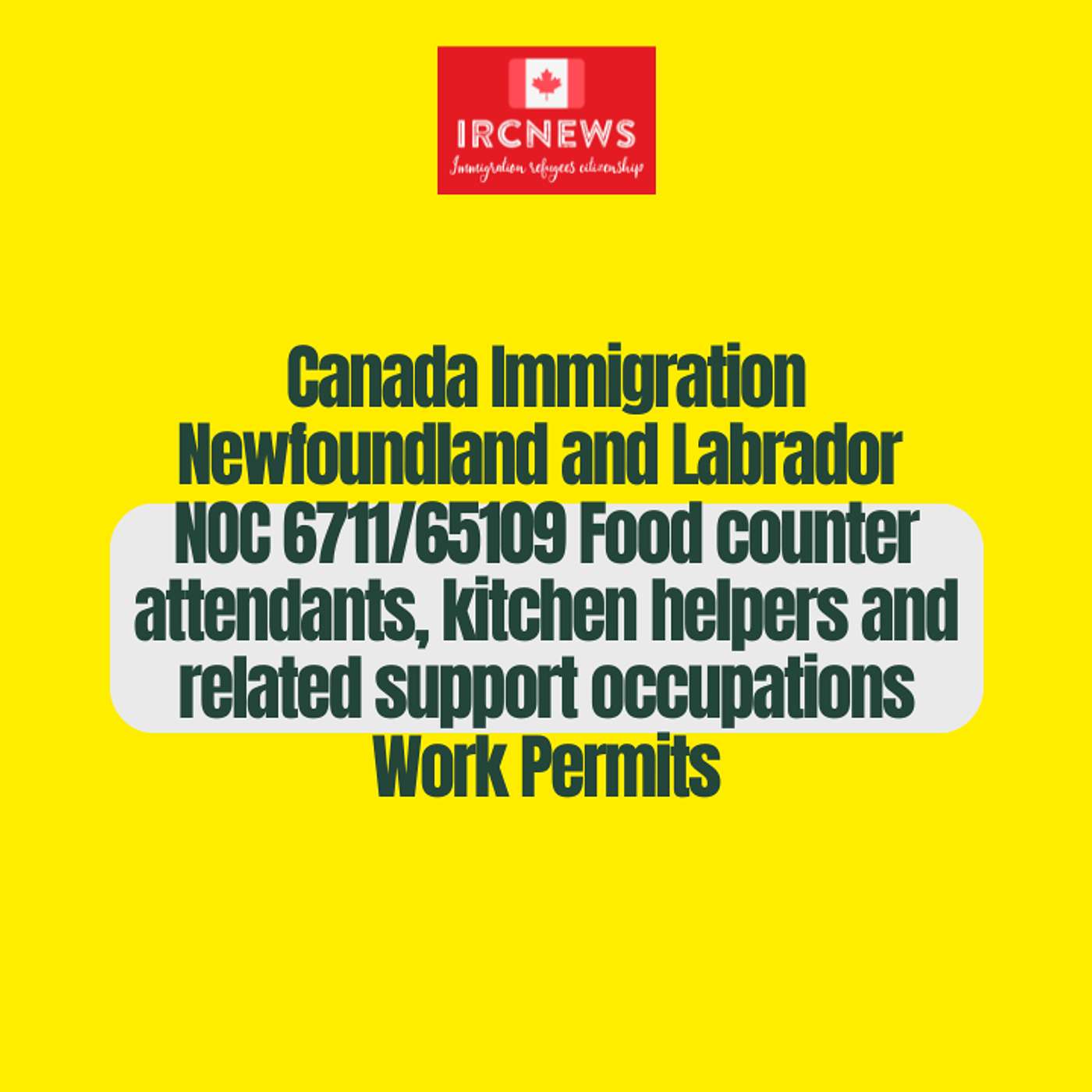 Canada Immigration Newfoundland and Labrador NOC 6711/65109 Food counter attendants, kitchen helpers and related support occupations Work Permits episode artwork