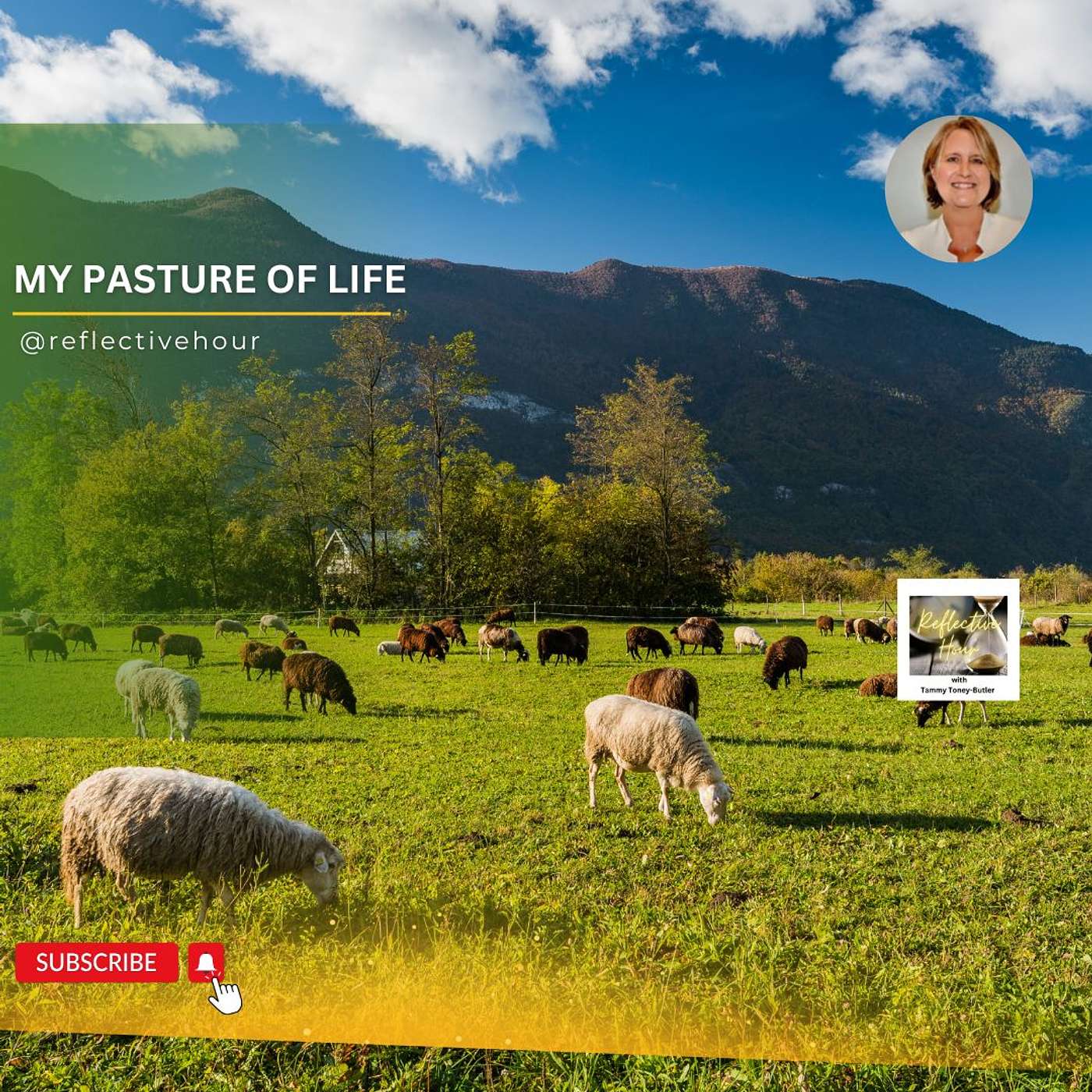 My Pasture of Life