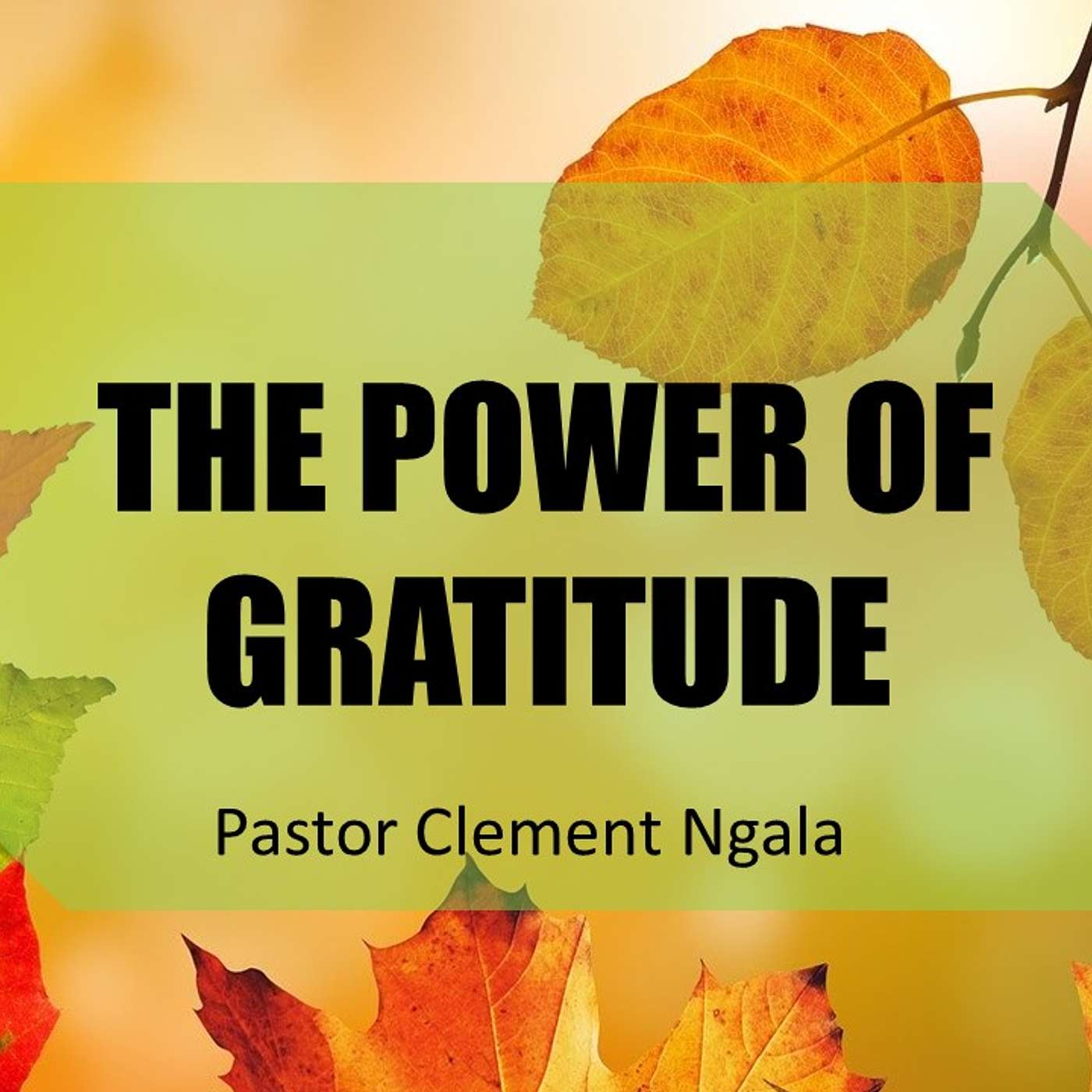 The Power of Gratitude episode artwork