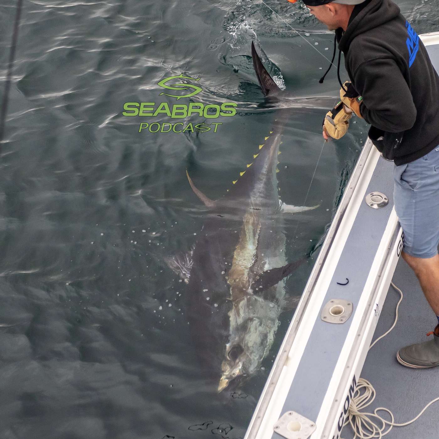 SeaBros Fishing Podcast - Fishing Stories, Tactics, and Interviews from Top Captains, Mates, and Outdoorsmen from Across the World