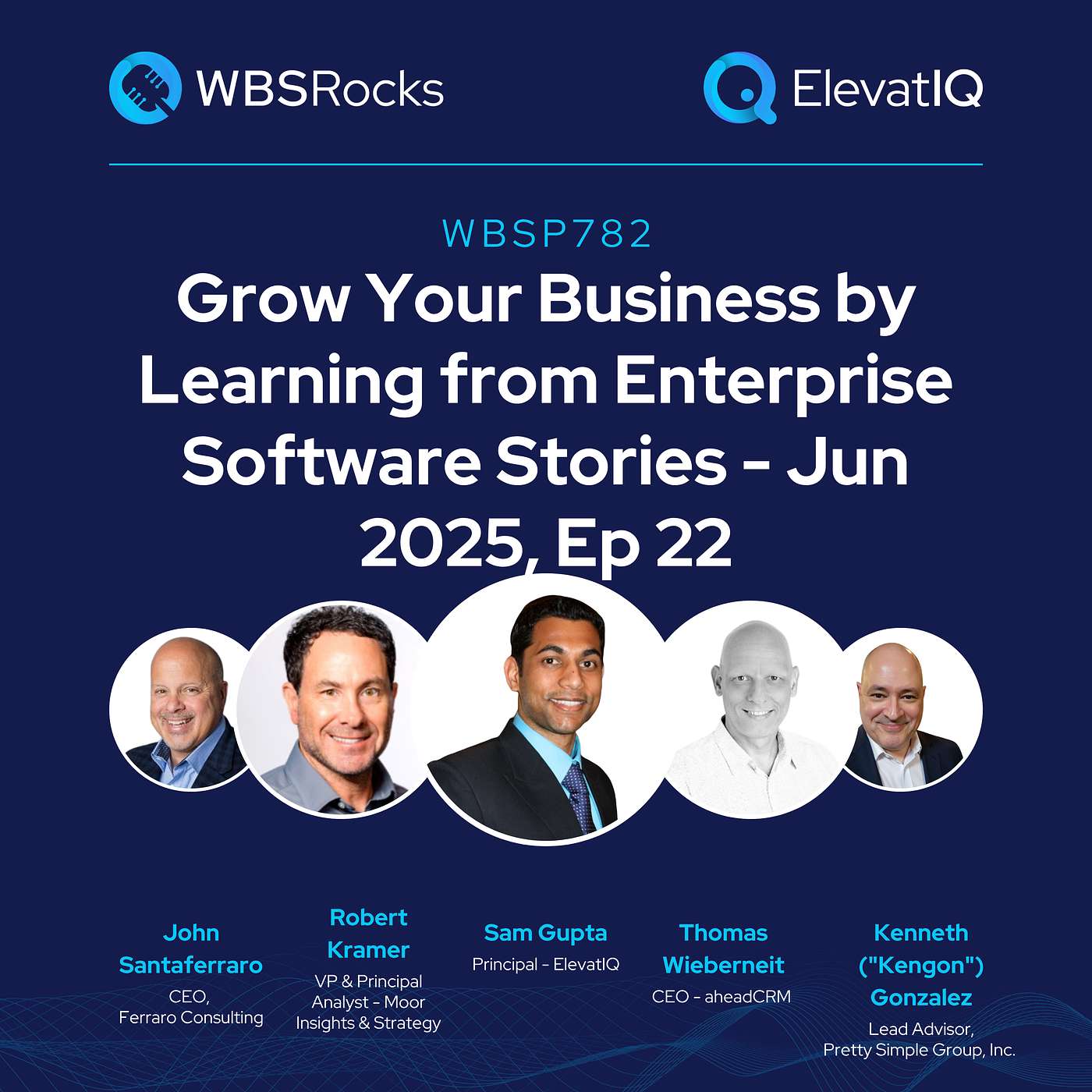 WBSP782: Grow Your Business by Learning from Enterprise Software Stories - Jun 2025, Ep 22, an Objective Panel Discussion