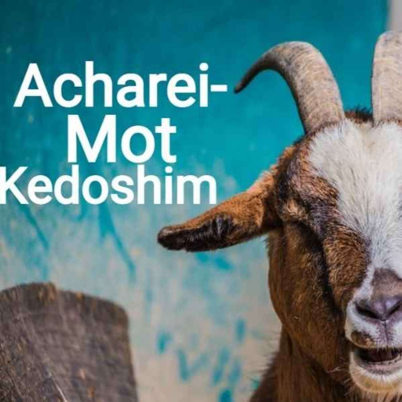 Achrei Mot-Kedoshim: Leviticus 16:1-20:27