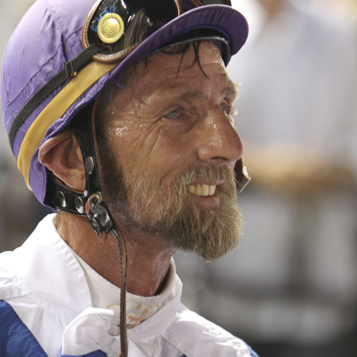 StallioneSearch Podcasts