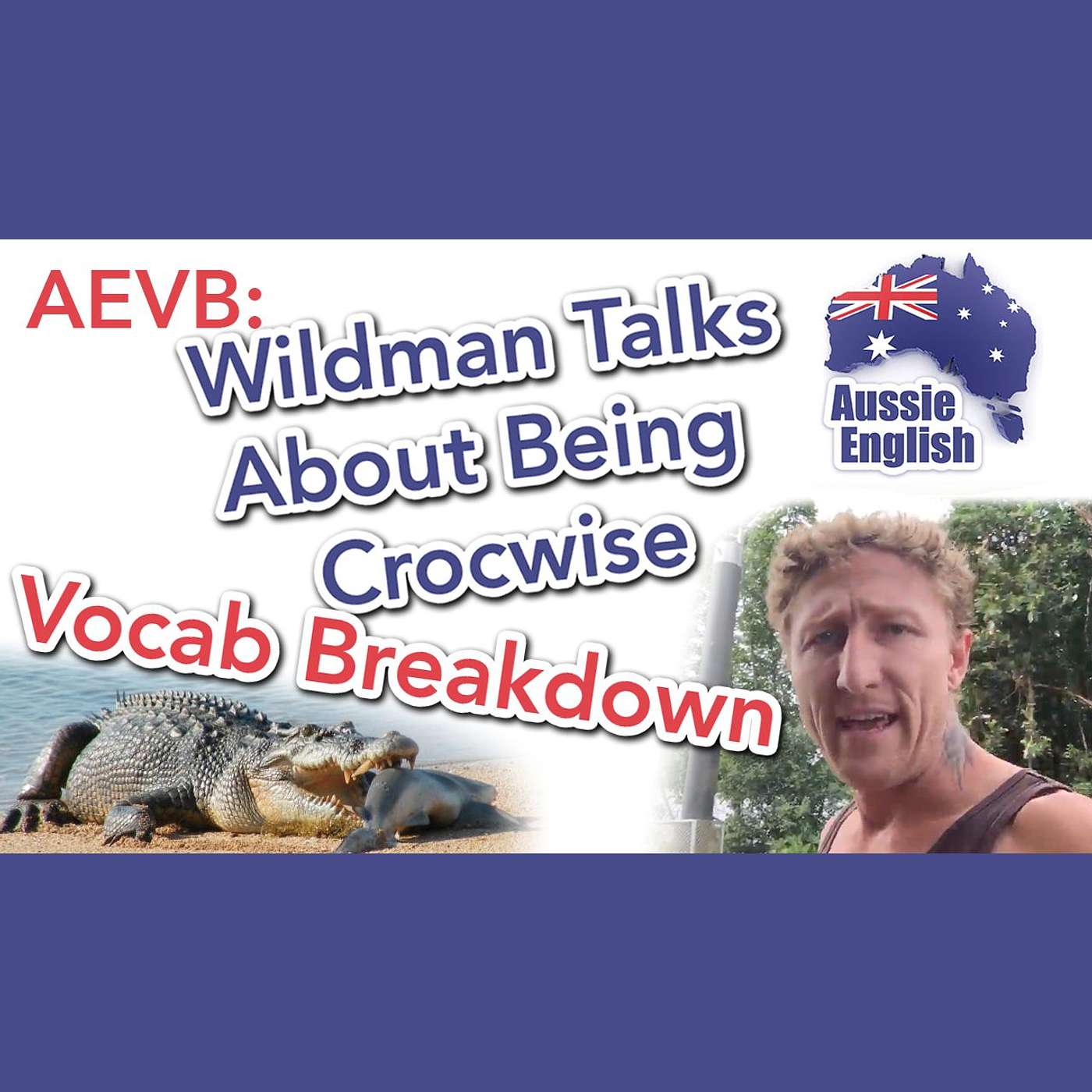AE 276.2 - AEVB: Wildman Talks About Being Crocwise - Vocab Breakdown