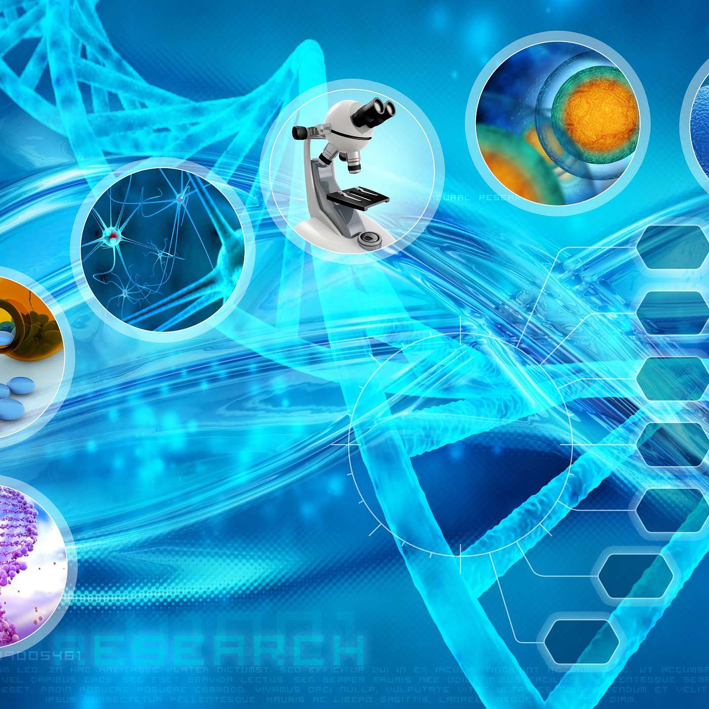 Episode 35: Printing organs or using samples, how do we protect people in research?