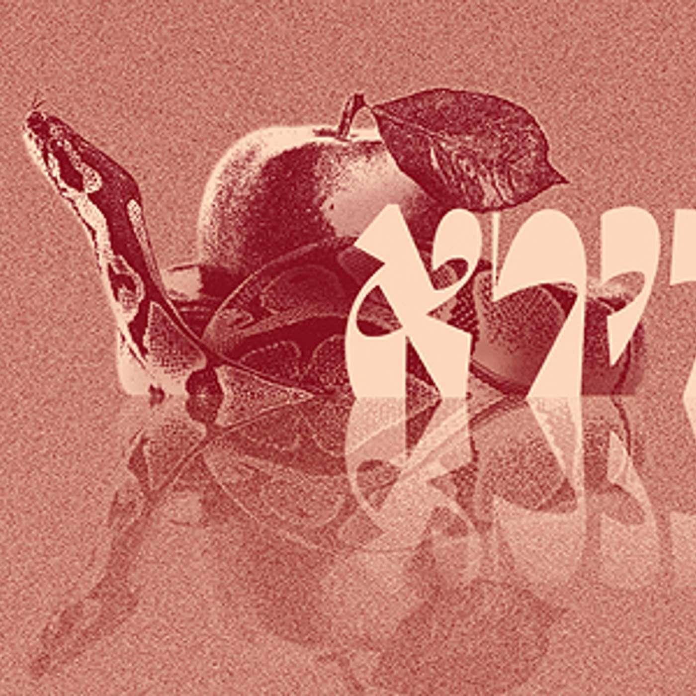 Parashat Vayera - A New Beginning  | Rabbi Shai Finkelstein episode artwork
