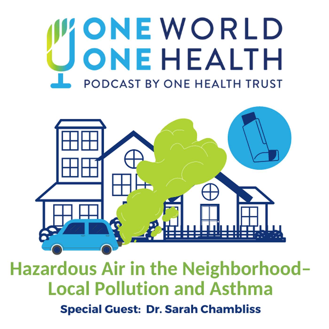 Hazardous Air in the Neighborhood– Local Pollution and Asthma