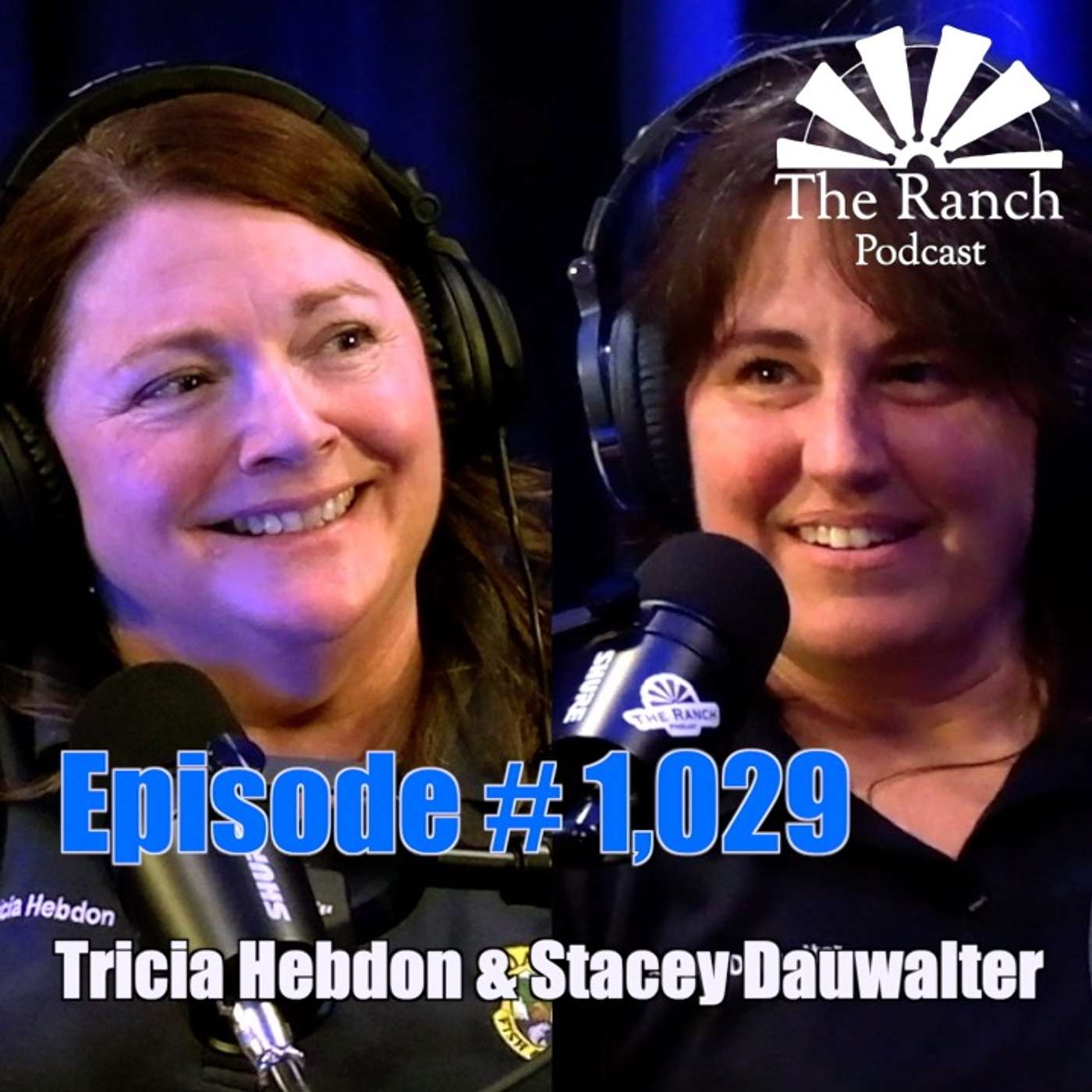#1,029 CWD & Other Diseases in Idaho's Wild Game with Tricia Hebdon & Stacey Dauwalter episode artwork