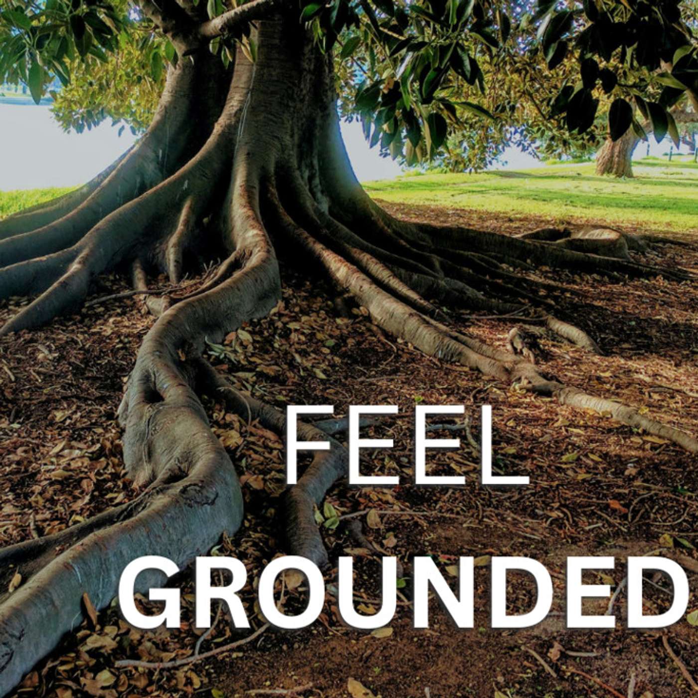 GROUNDING Exercise for Anxiety and Stress Relief - Somatic Therapy