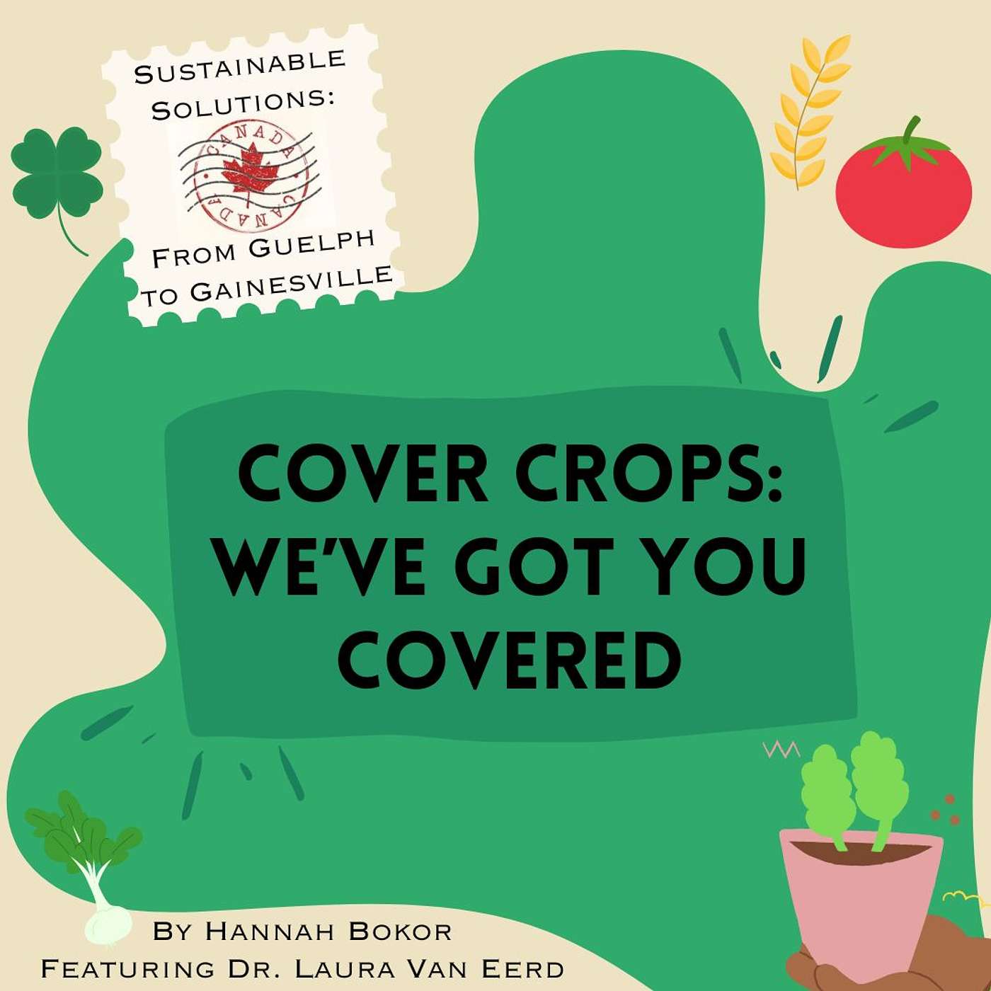 Sustainable Solutions: Cover Crops: We’ve Got You Covered with Dr. Laura Van Eerd episode artwork